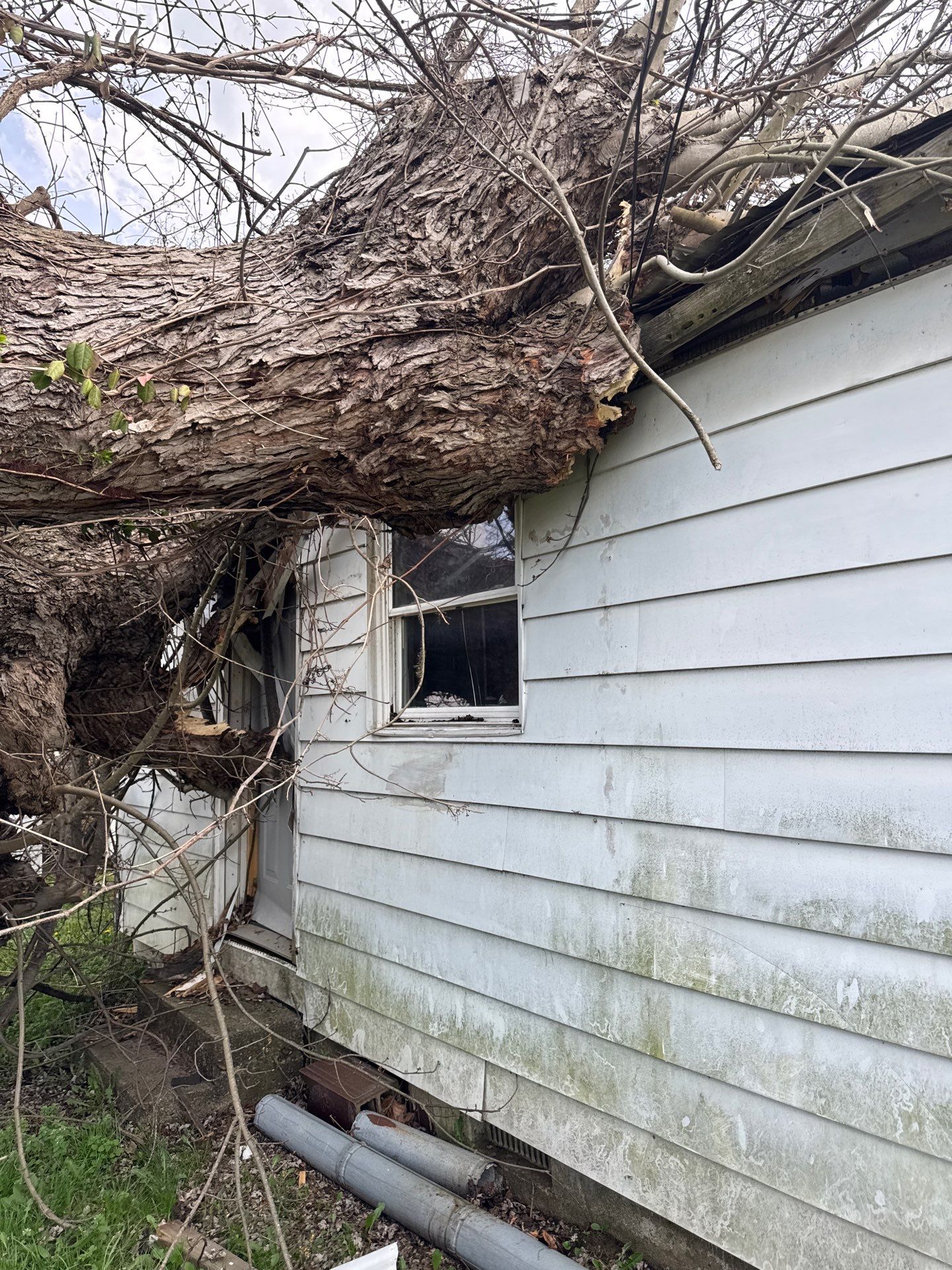 Project in Nitro, WV Rotator Crane Lifts Tree Off House | Nitro WV • One Wrong Move Job | Rotator Crane Tree Removal • Heavy Rescue Tree Job | Nitro WV • Extreme Tree Removal Over Home | Nitro WV by Jones Empire LLC