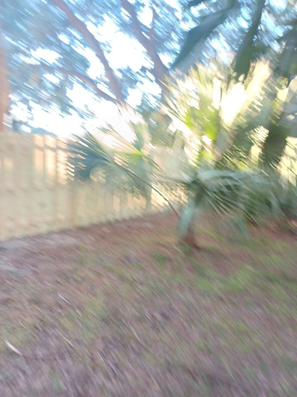 Sarasota, FL 4ft. Tall 3-Rail Aluminum Fence by Asap fence and gates, LLC