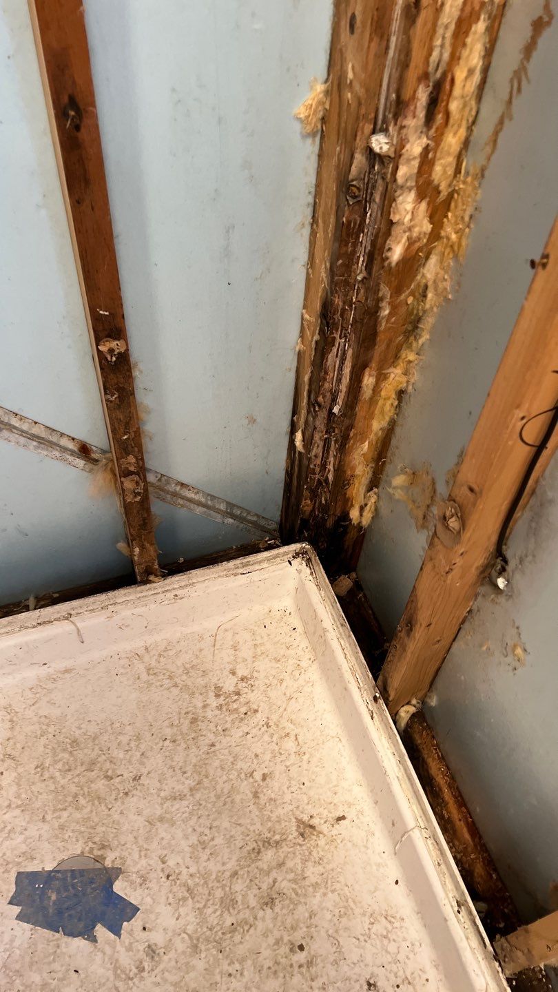 Water Damage and Mold Remediation by Accountable Home Services