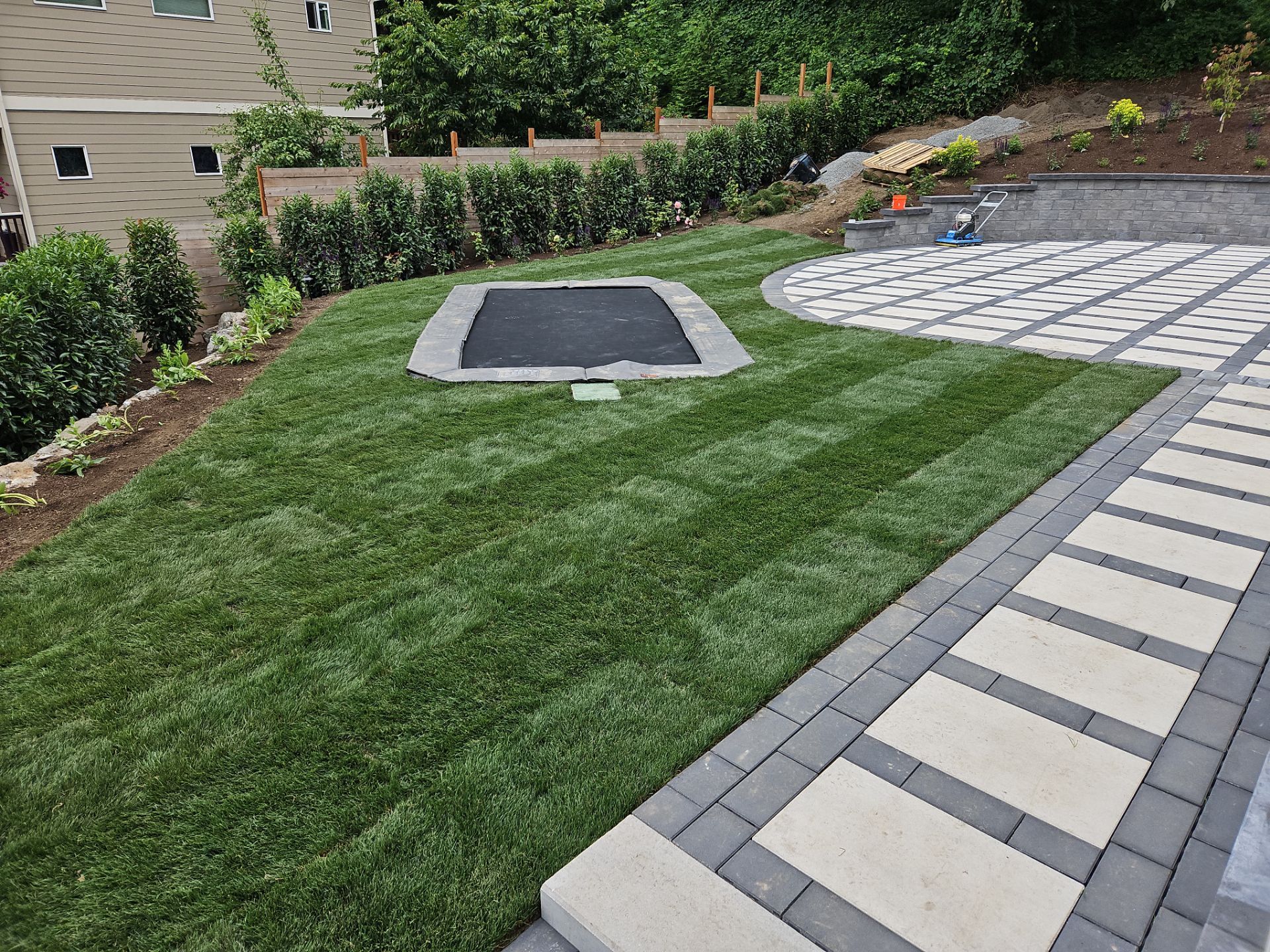 Maple Ave Renovation by Pacific Pine Landscape