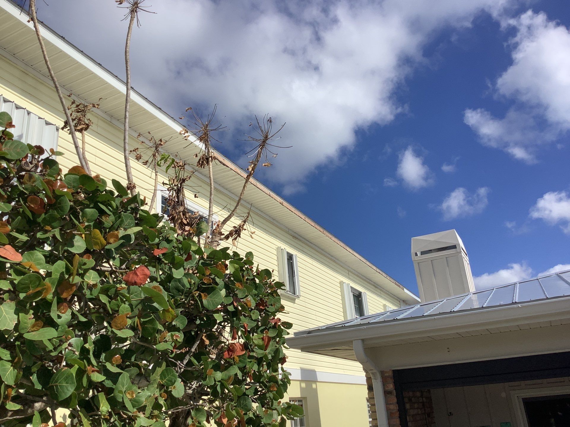 White Gutters with Matching Downspouts in Sarasota FL by Gutter Professors