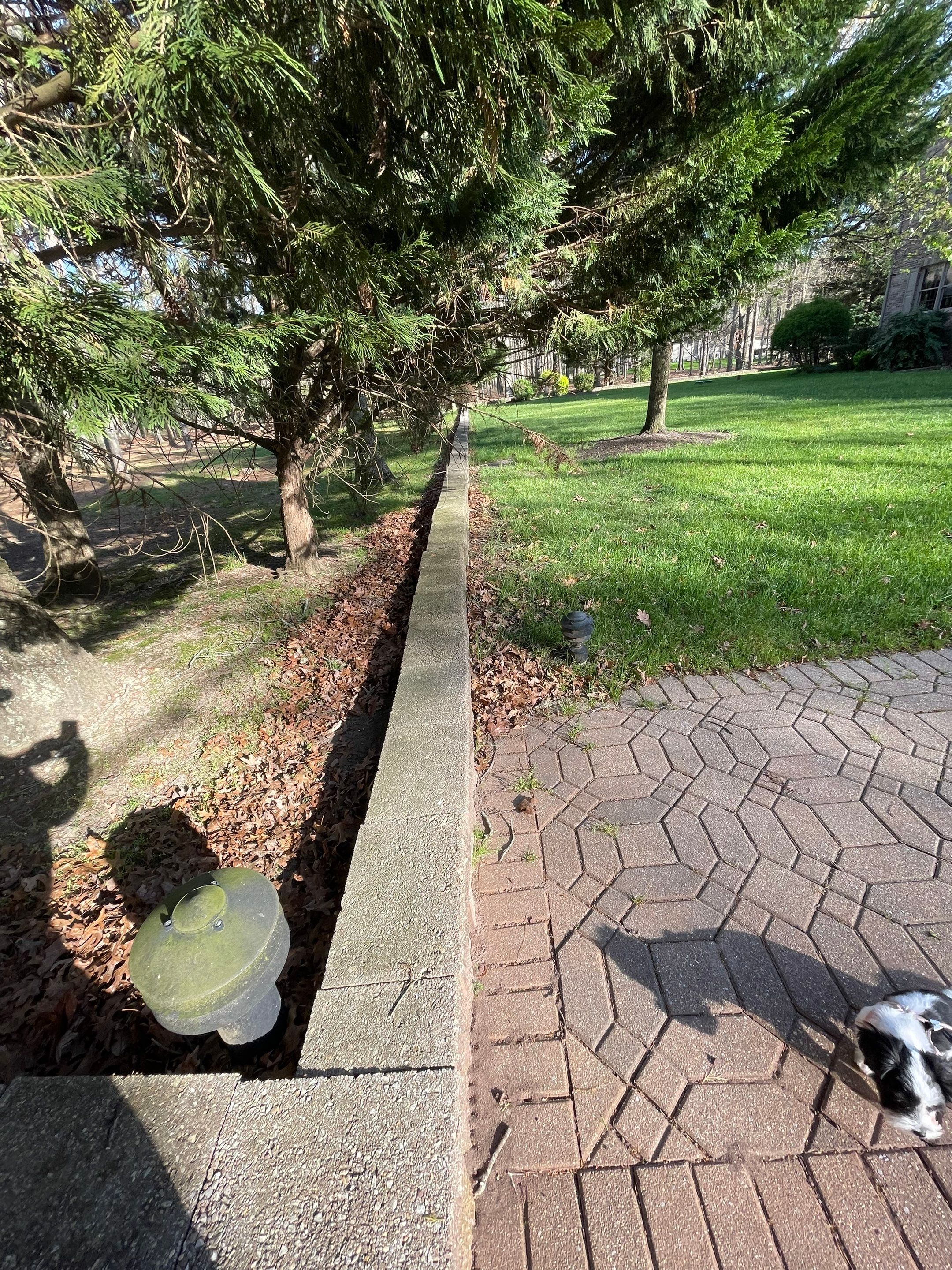 Pavers Cleaned, Garage and Concrete walls by SJ Exterior