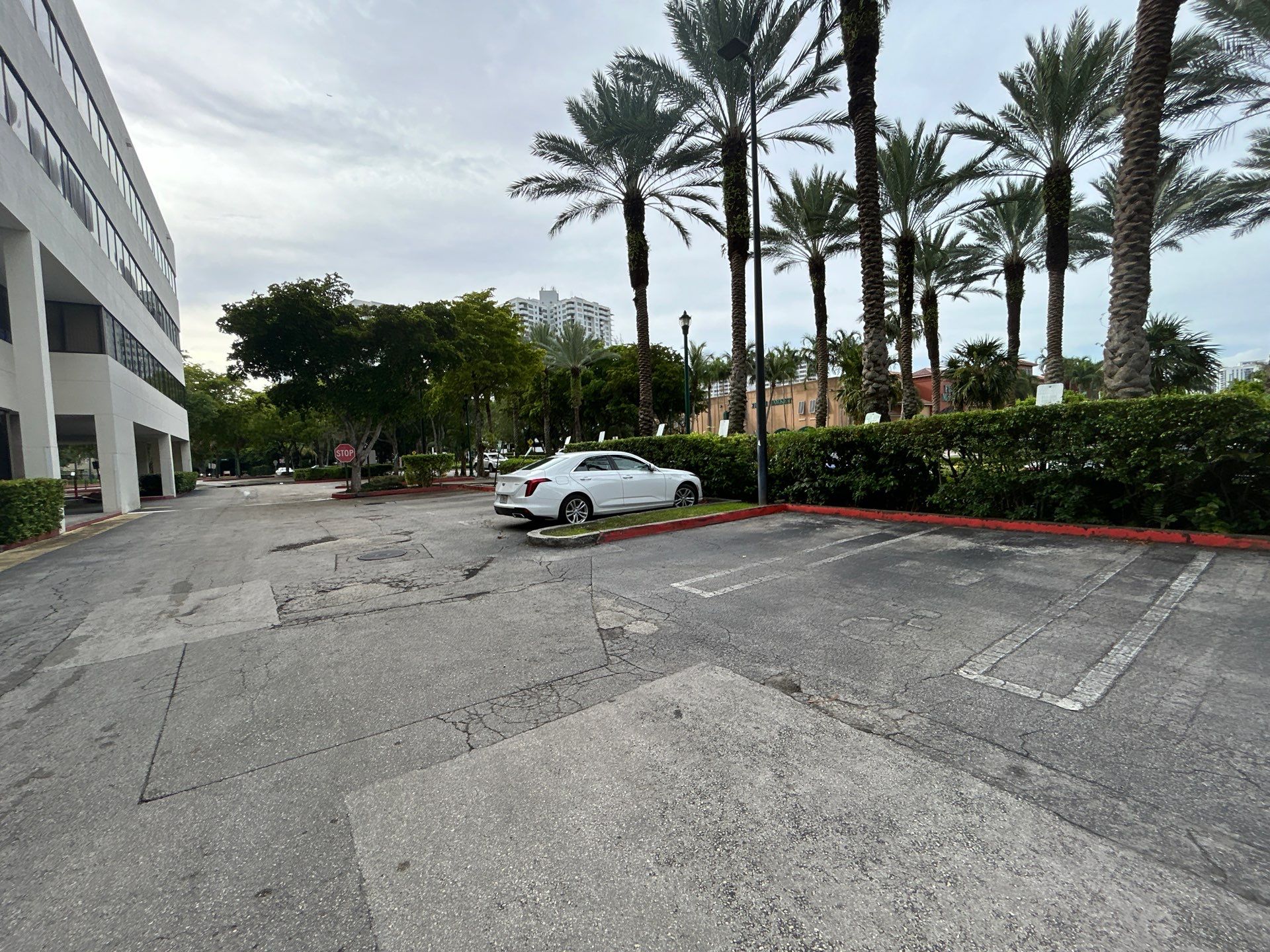 18305 BISC BLVD INC by Souffront Construction & Engineering