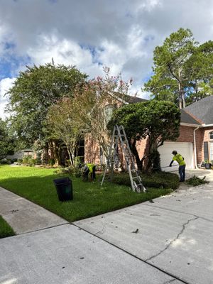 Residential | Shrub Trimming
