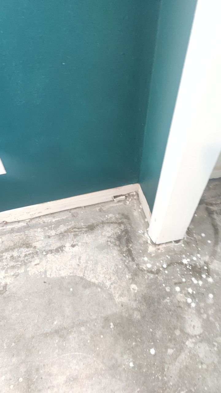 Mold Remediation by Accountable Home Services