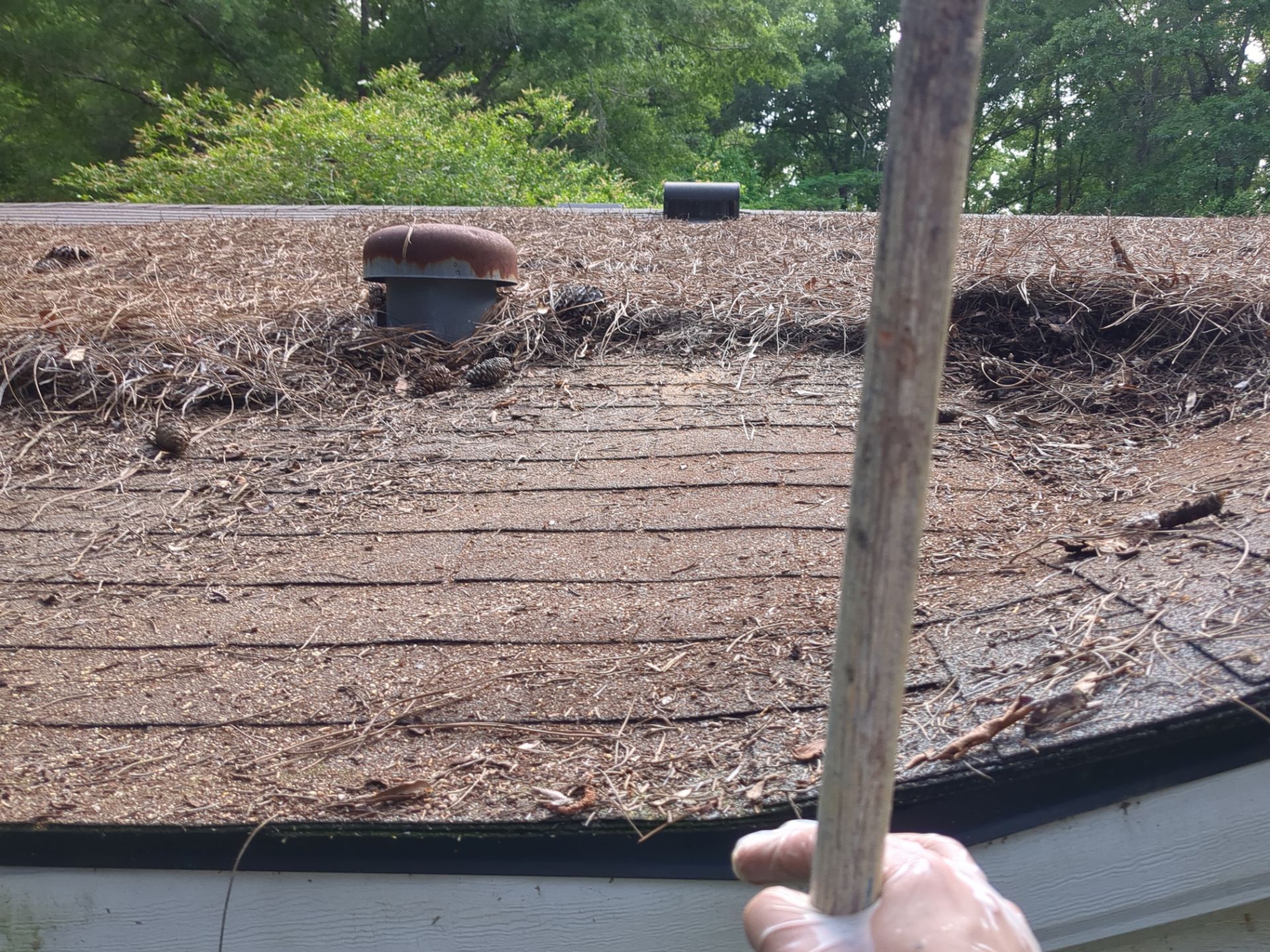 Exterior Clearing - tree trimming - grass cut by Swift Signings and Services LLC