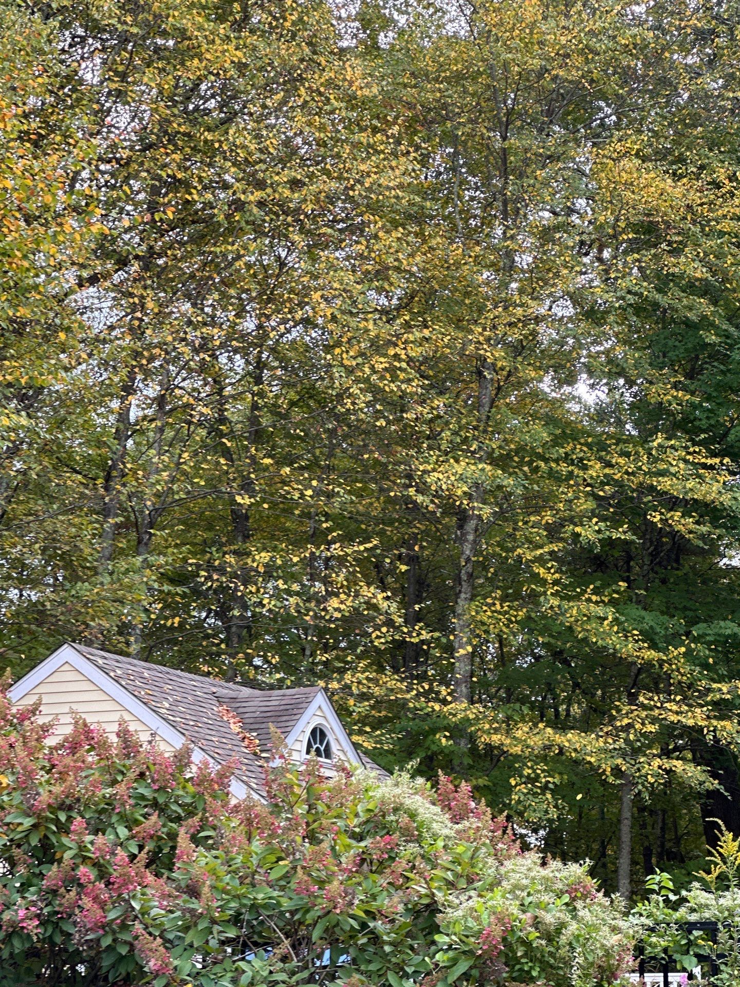 Roofing & Skylights | Groton by Mighty Dog Roofing of Greater Middlesex County
