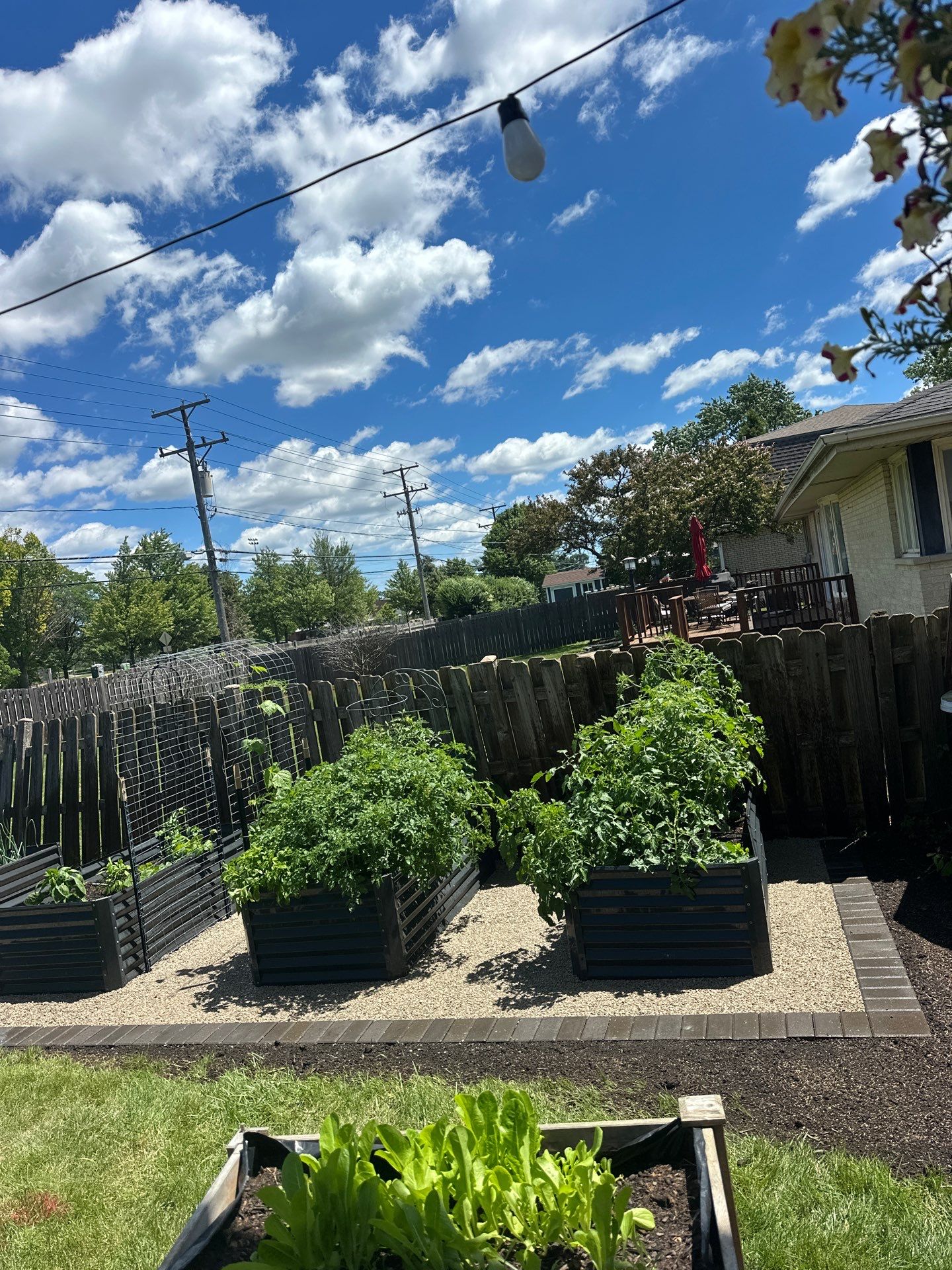 Kevin Z. - Mount Prospect, IL by A&N