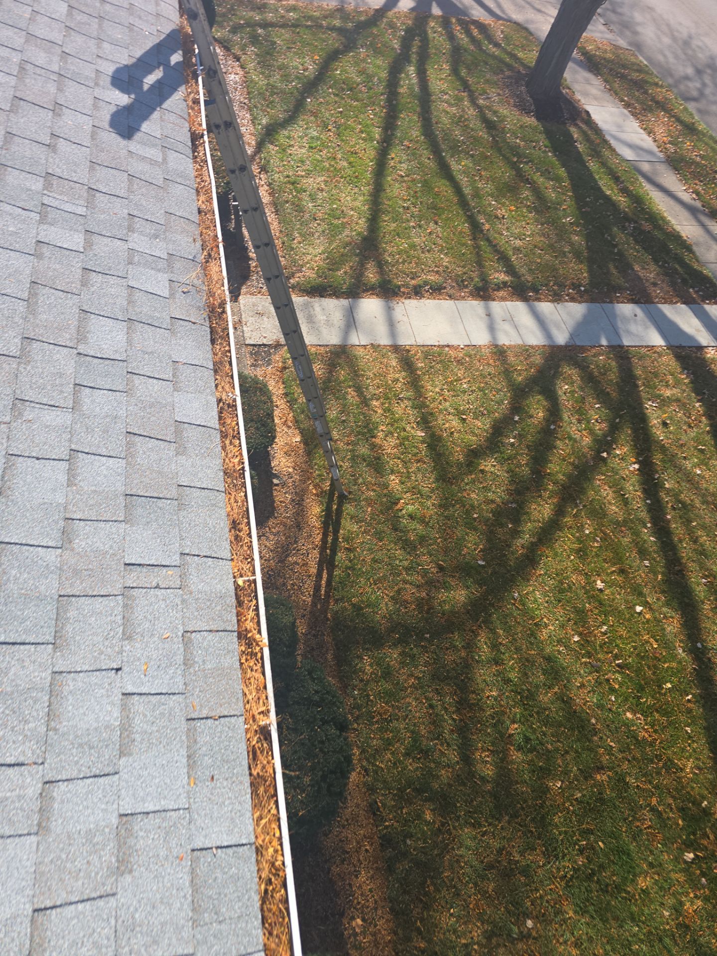 Commercial gutter cleaning Dayton before photo with filled gutters