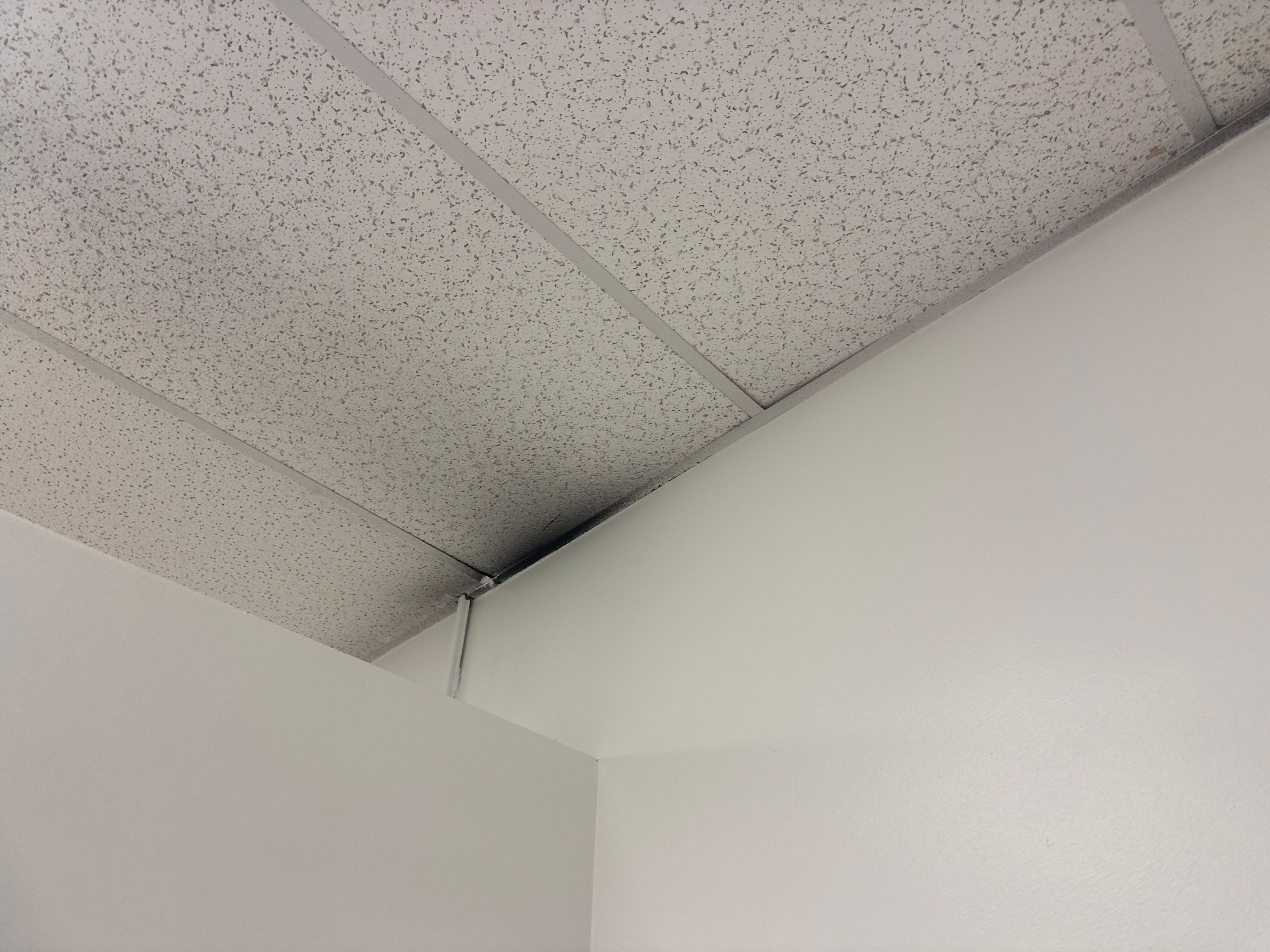 Repaint Walls in Commercial Unit by Midwest Paint LLC