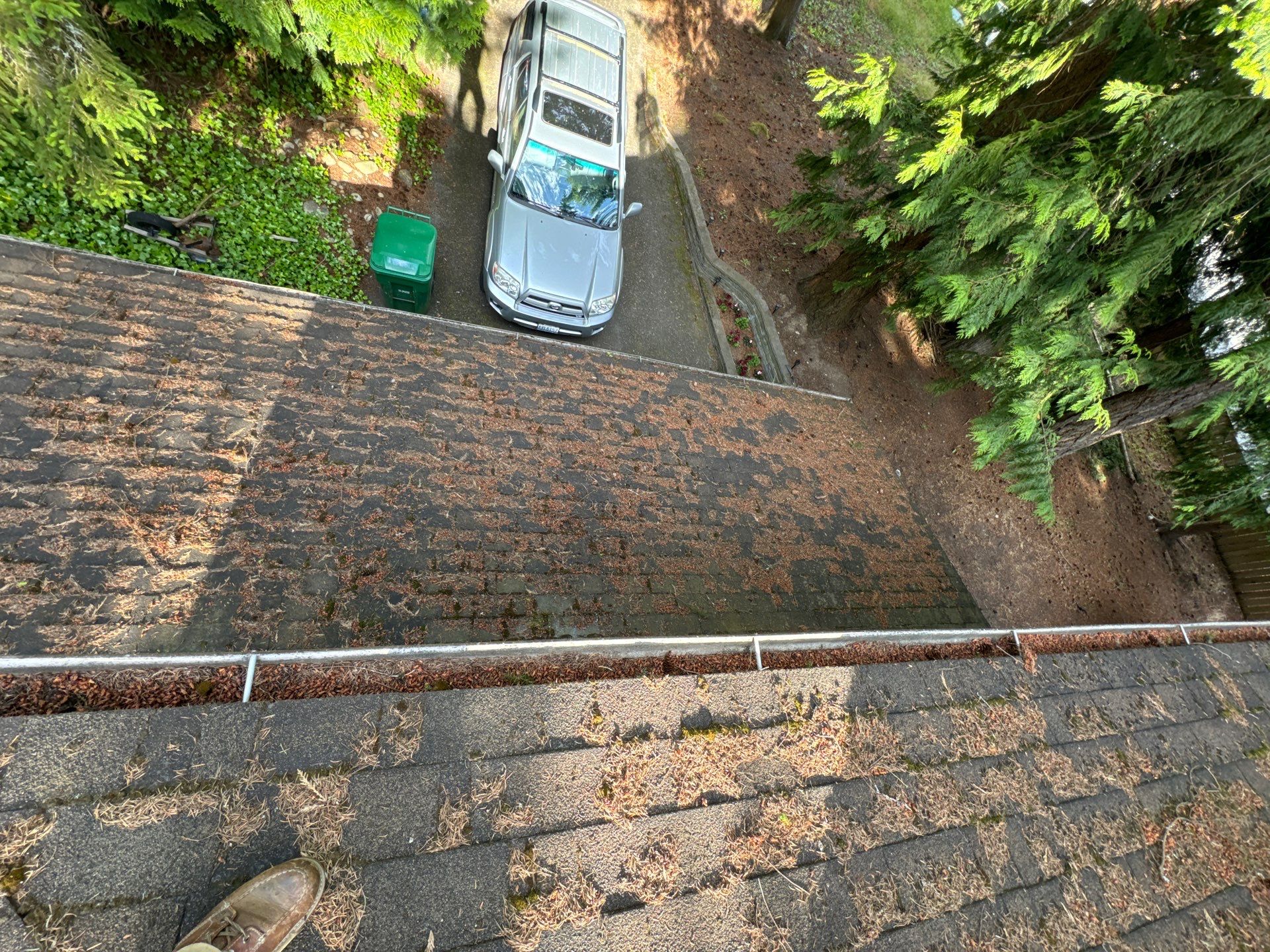 Project in Edmonds by Peaks and Valleys Construction