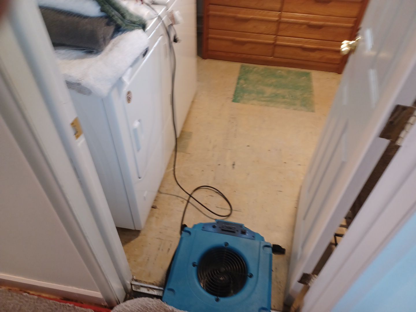 Project in Royal Oak by EzDry Water Mitigation & Property Restoration