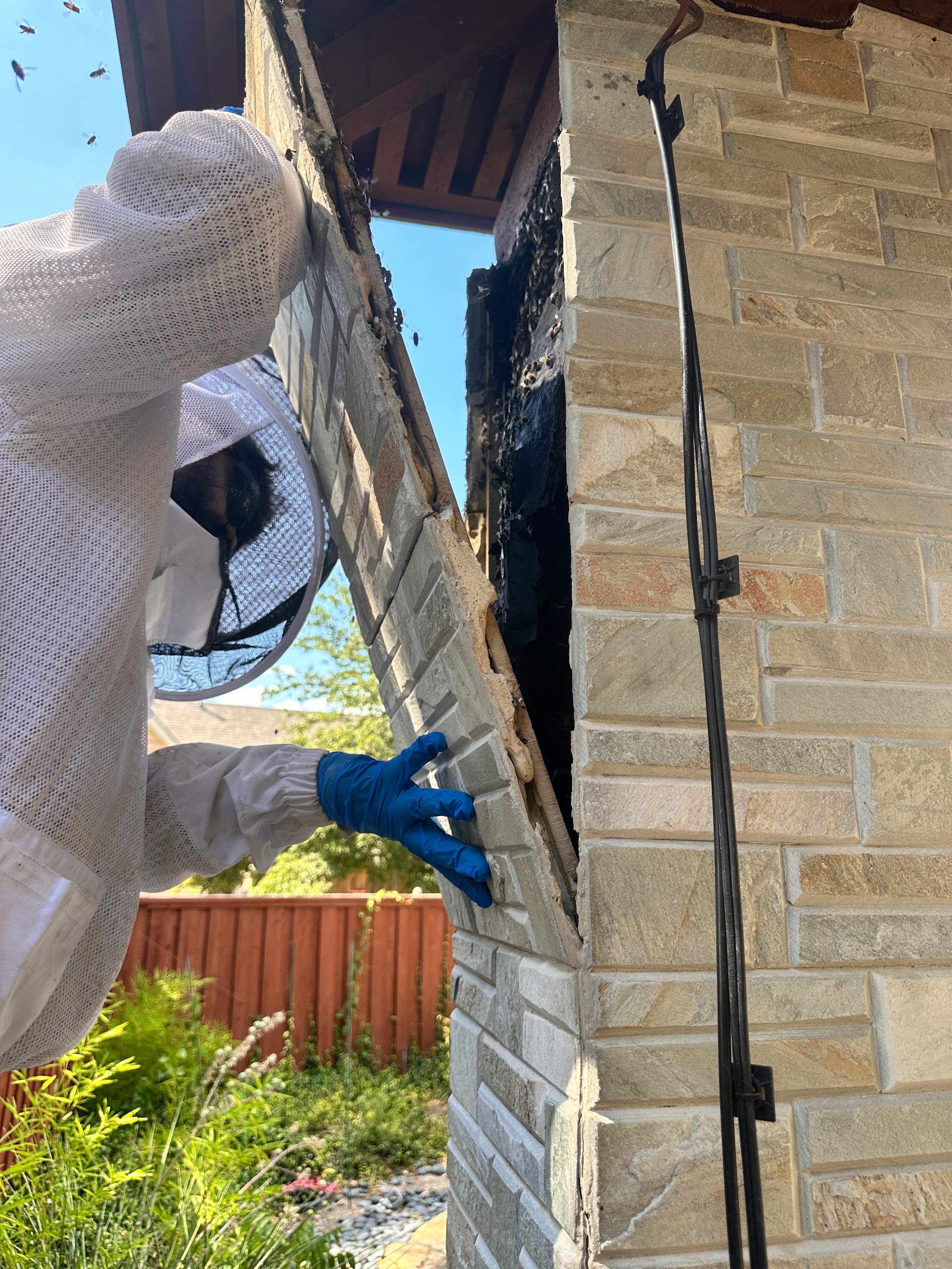 Scary Pergola by Rockwall Honey Bee Company