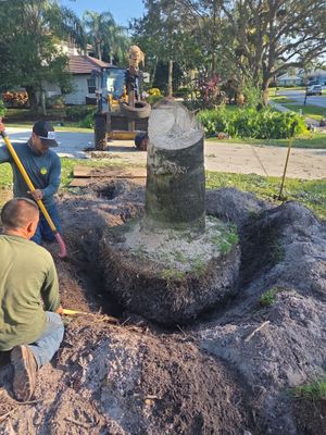 🌴 Landscape Removal and Install in Palm City
