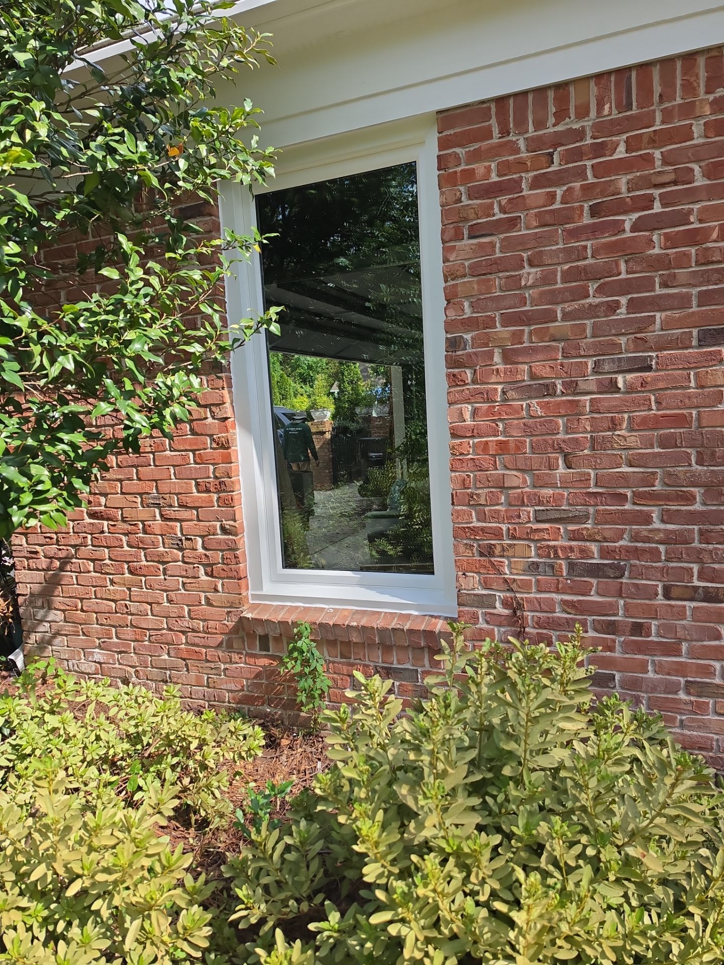 Ackerman Project in Vestavia Hills by The Window Source