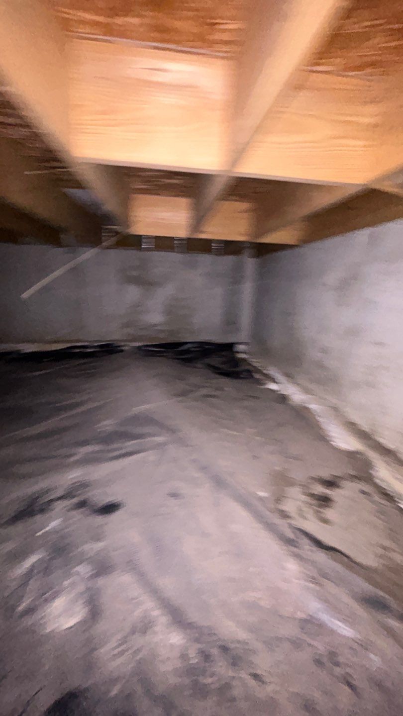 Mold Damage by Accountable Home Services