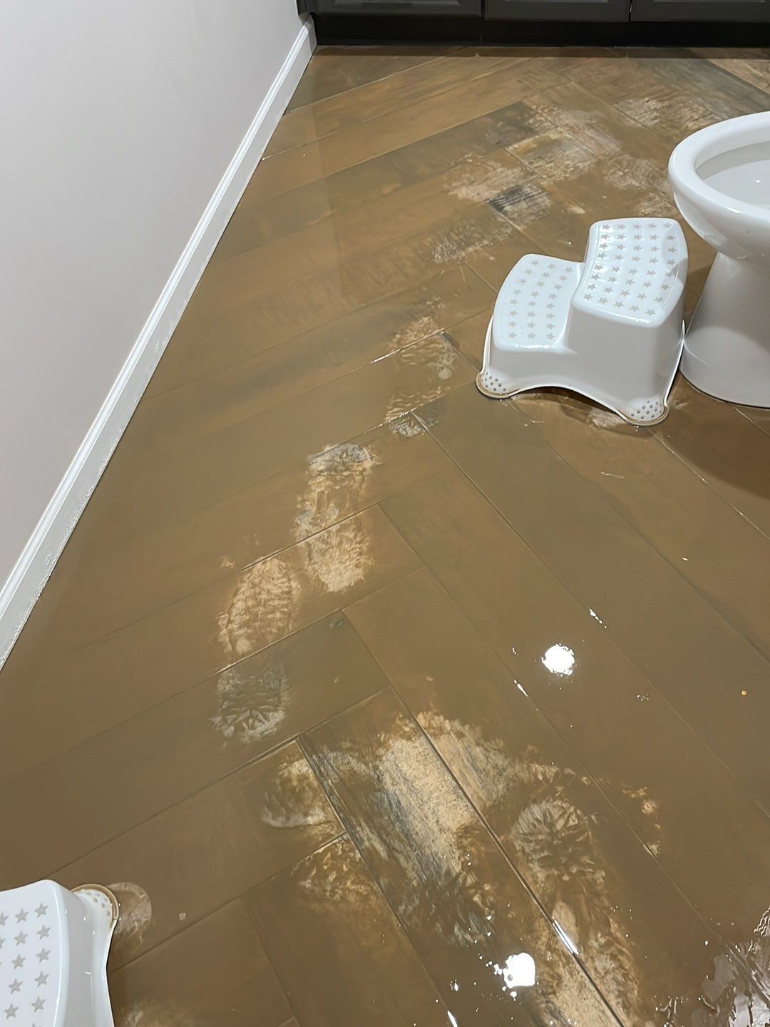 Project in Troy by EzDry Water Mitigation & Property Restoration