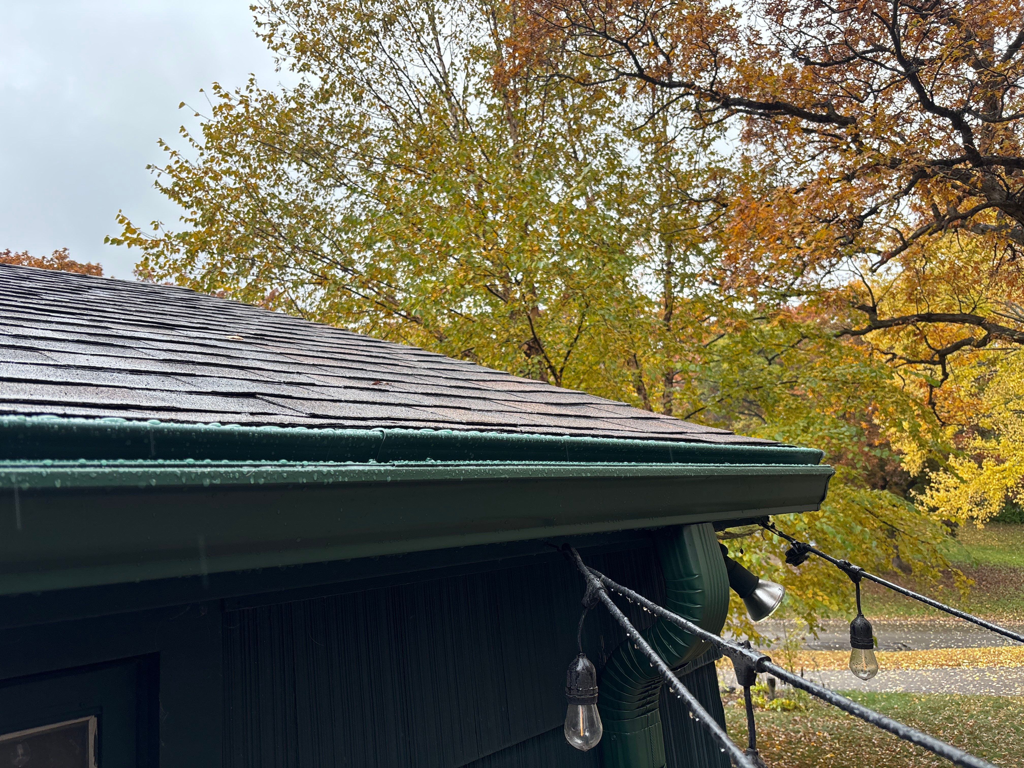 5-Inch Evergreen Seamless Gutters with Covers – Minnetonka, MN by Next Level Seamless Gutters / Exteriors Inc.