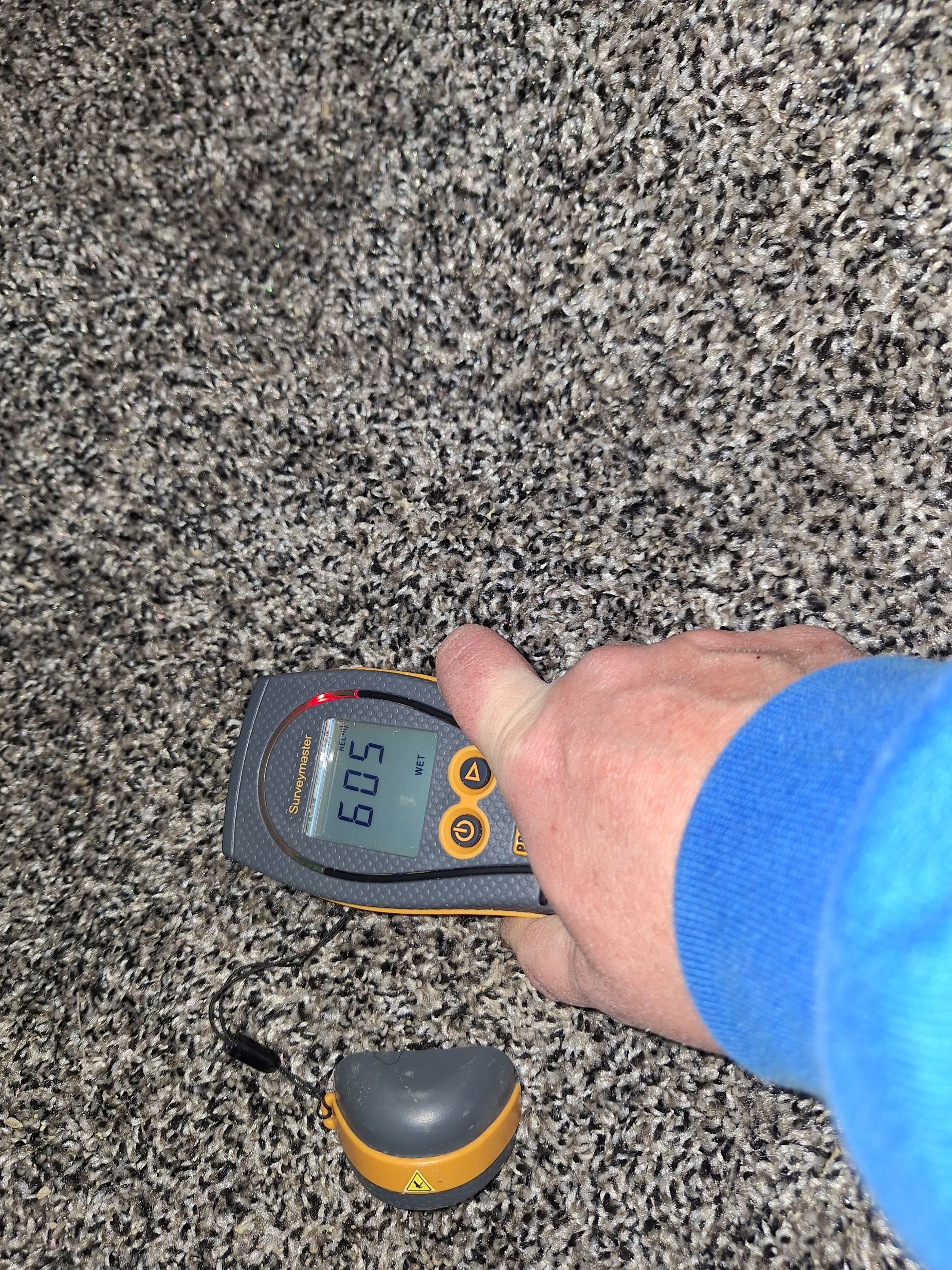 Remediation and Repairs by ANR Restoration