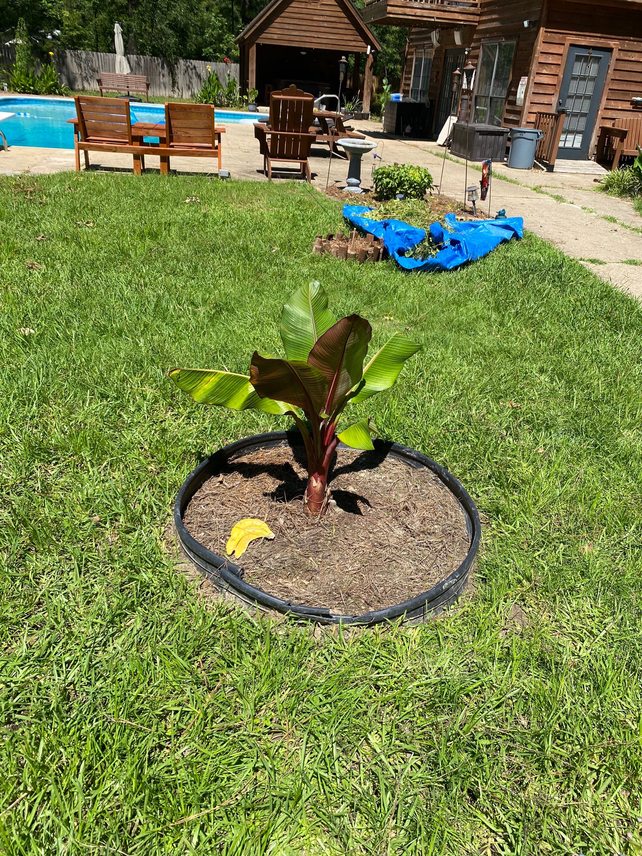 Weekly Landscaping  by College Bros Outdoor services