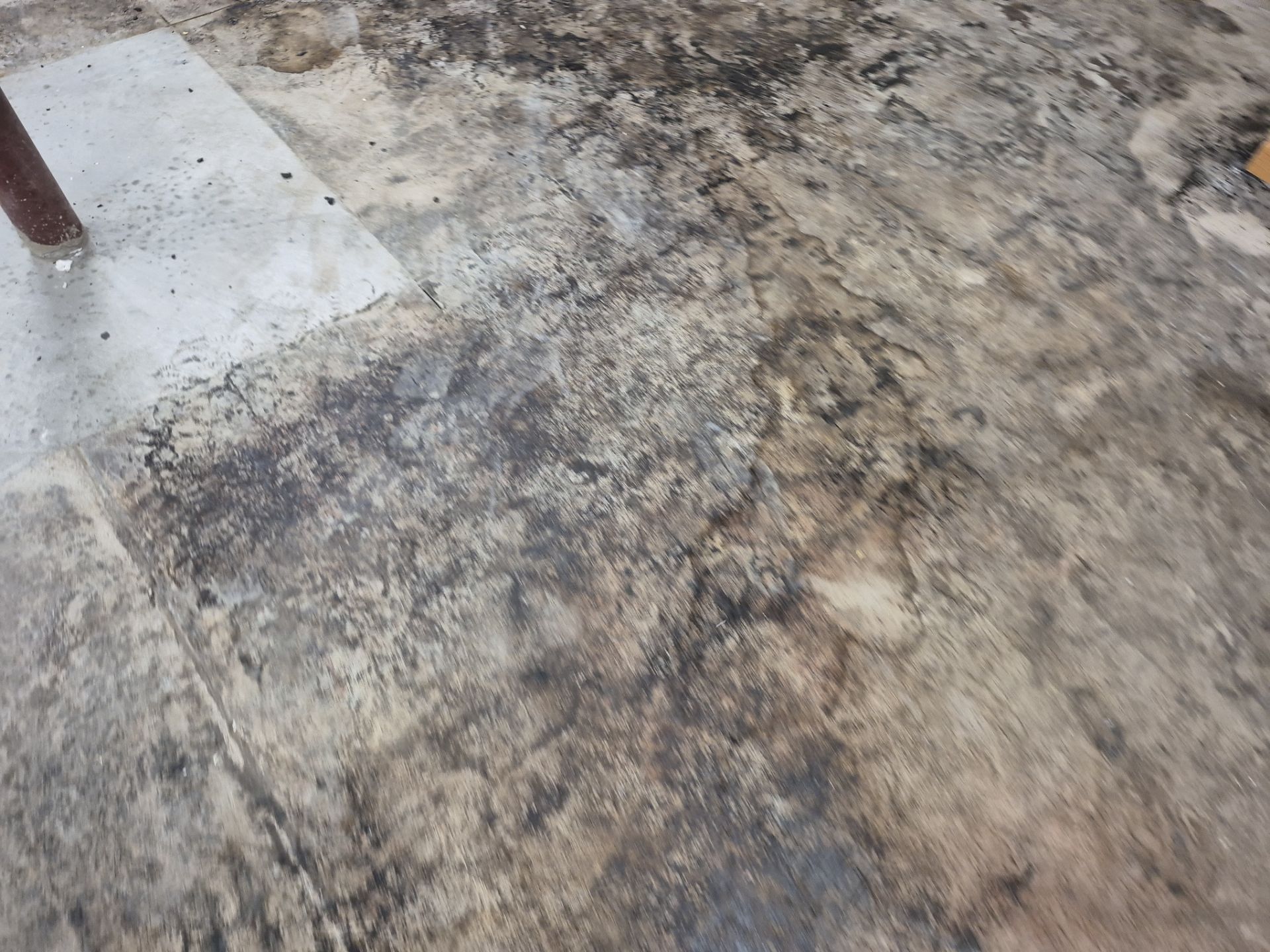 Project in Maple Rapids by Wise Coatings of Central Michigan