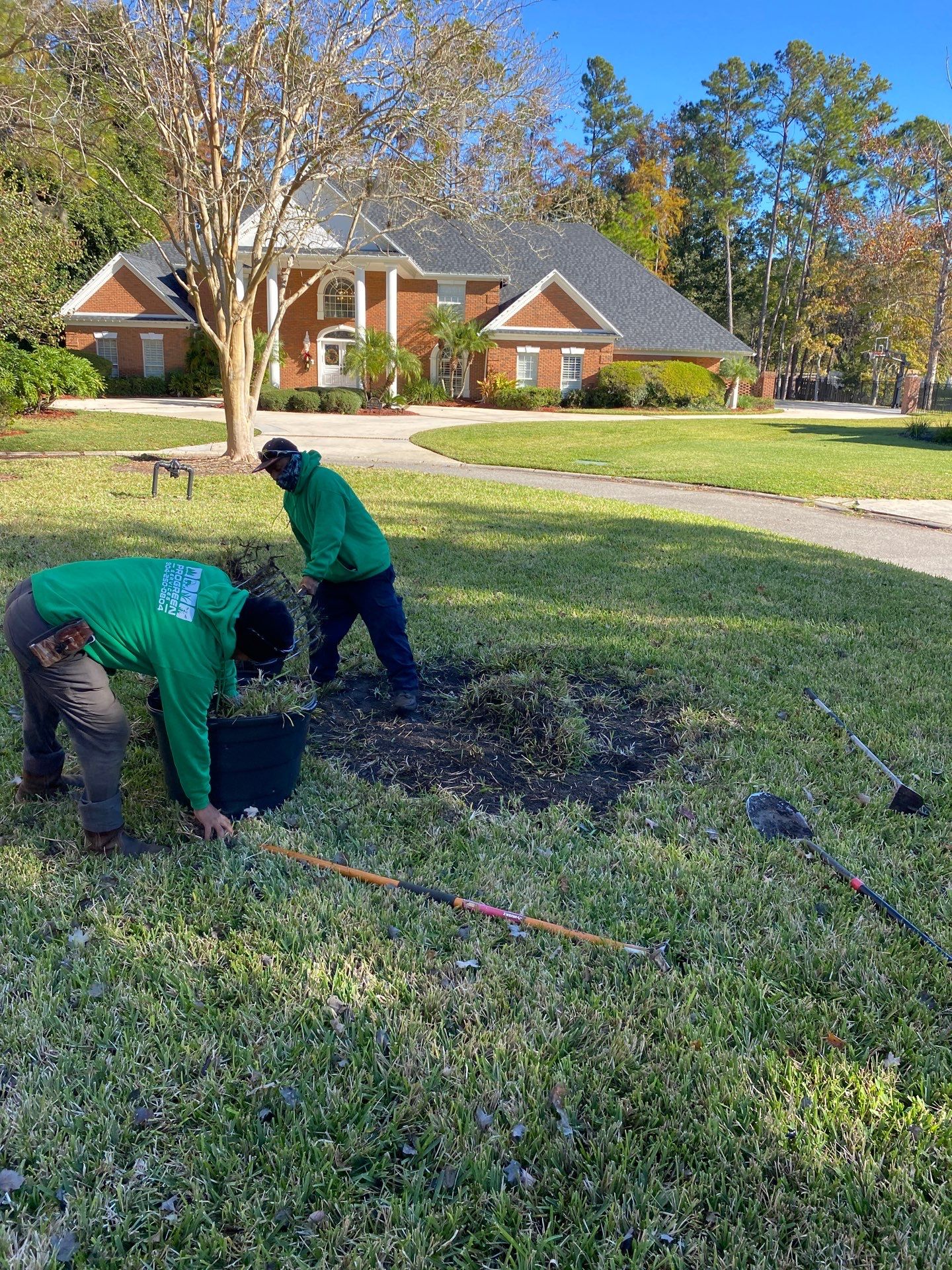 Deerwood Community | Oak Tree Replacement Project by ProGreen Services