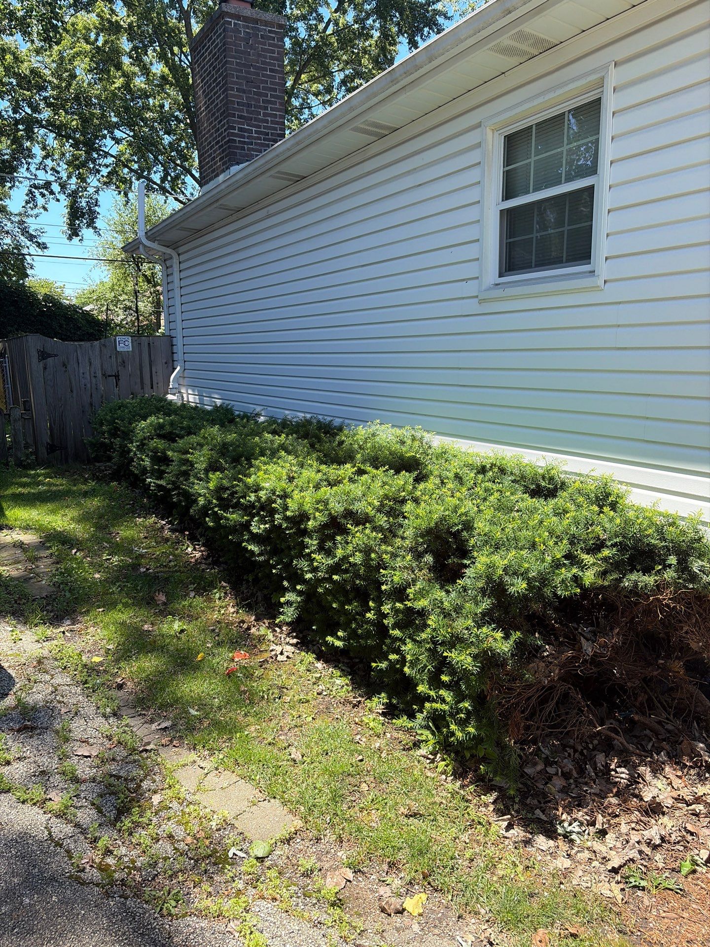 Kate M. - Arlington Heights, IL by A&N 