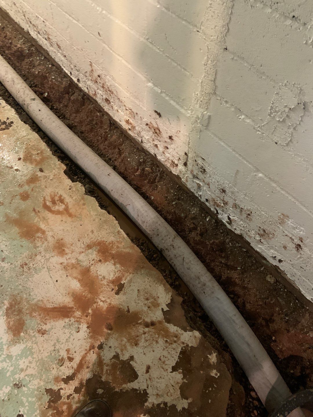 Helping Diane Protect Her Home by Waterproofing Northeast