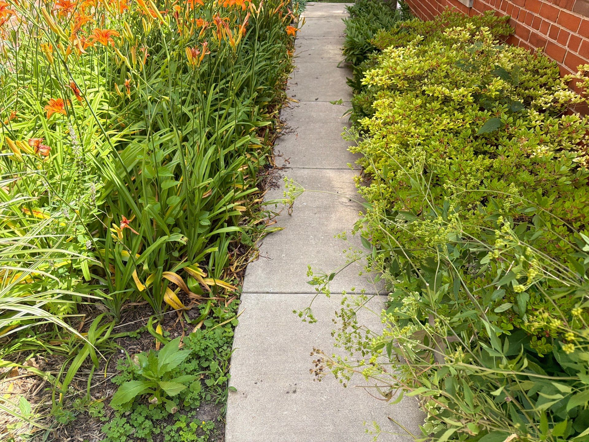 Brick Paver cleaning, sanding, seal by Northern Power Washing LLC.