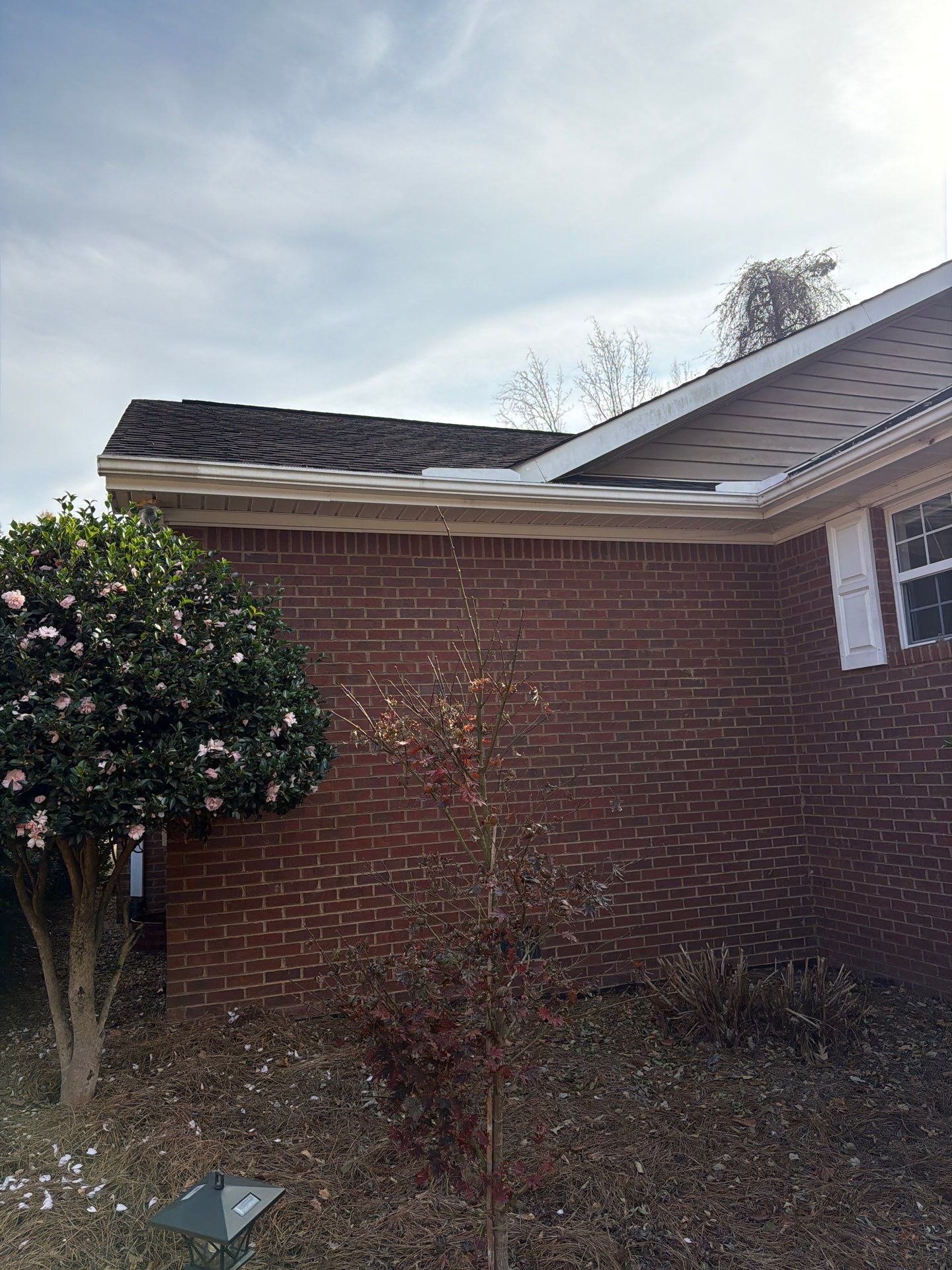 Susan Collins by United Contracting and Roofing