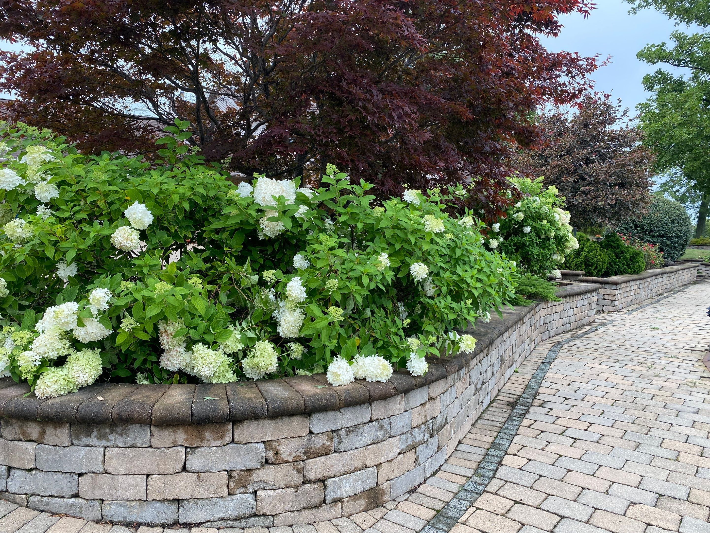 Lake House Maintenance by Elm Rose Gardens