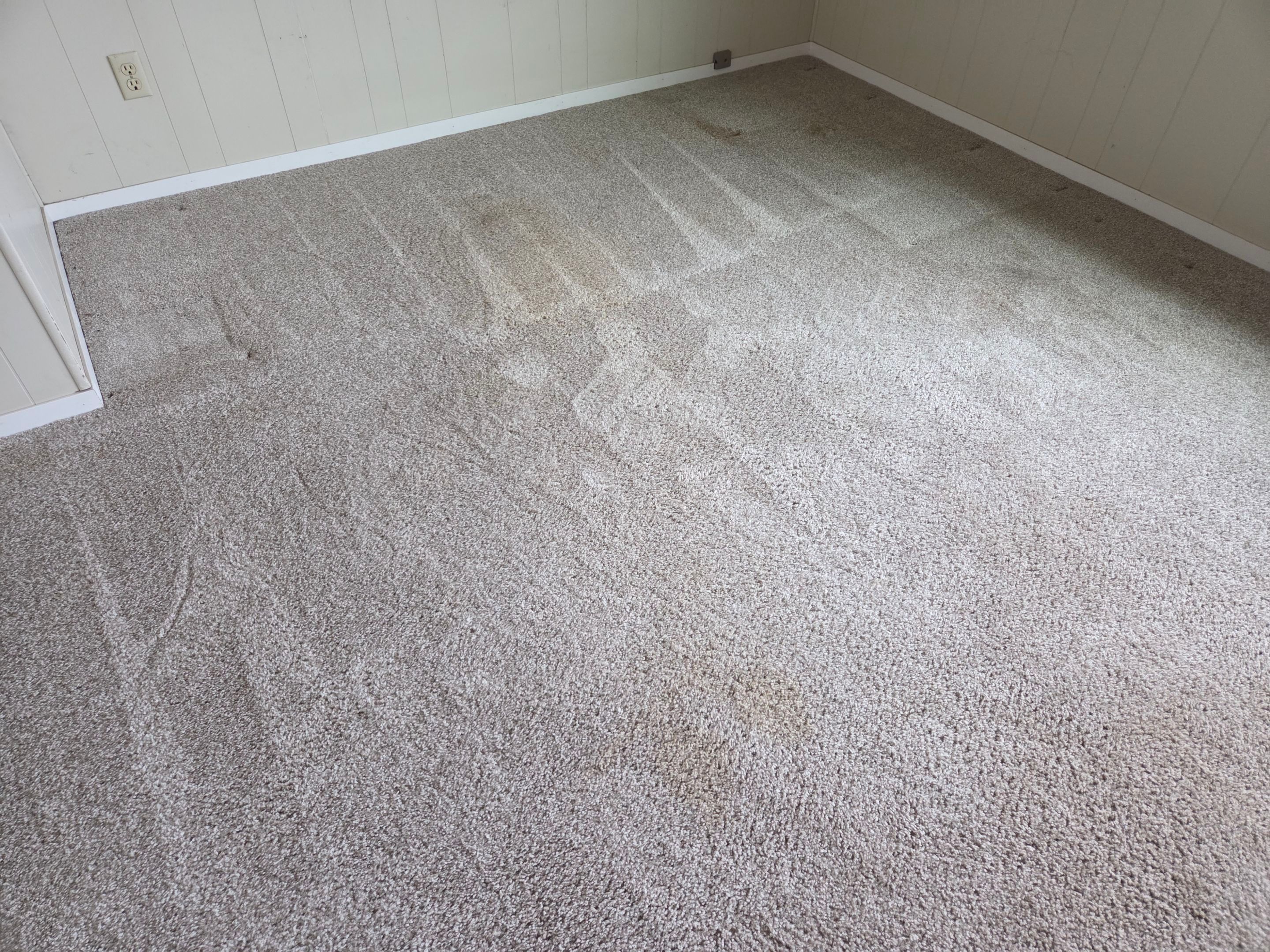 Pet Urine Pad Removal, Extraction and Cleaning by Ardent Carpet Restore LLC