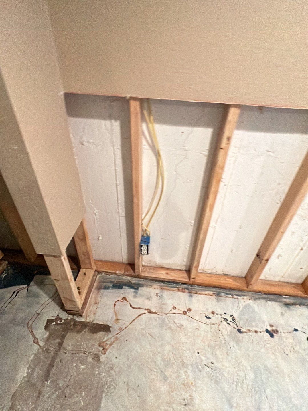 Mold Damage by Accountable Home Services