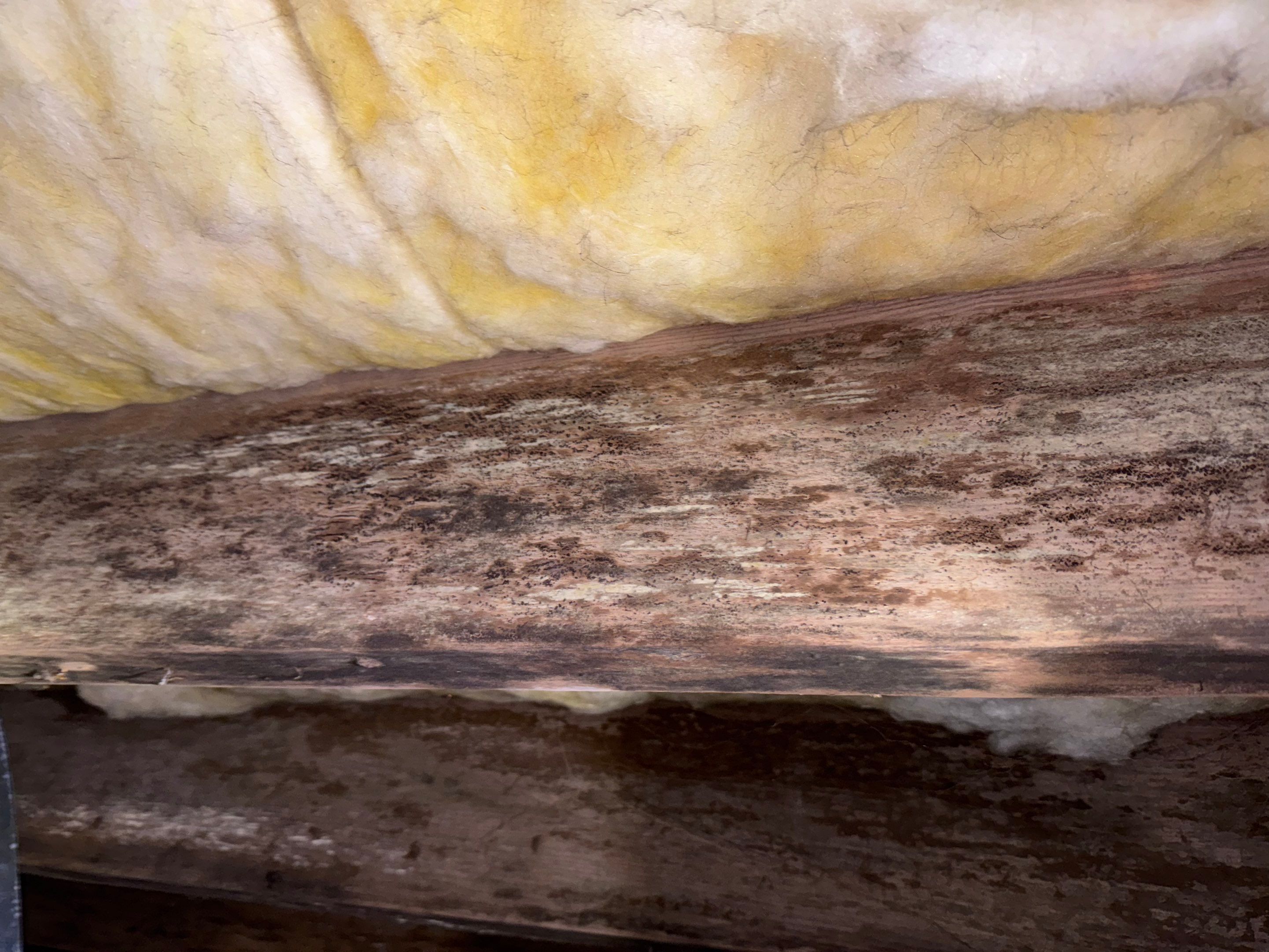 Impact Choice Encapsulation with 20Mil and Tri-Plex insulation. by Impact Crawlspace