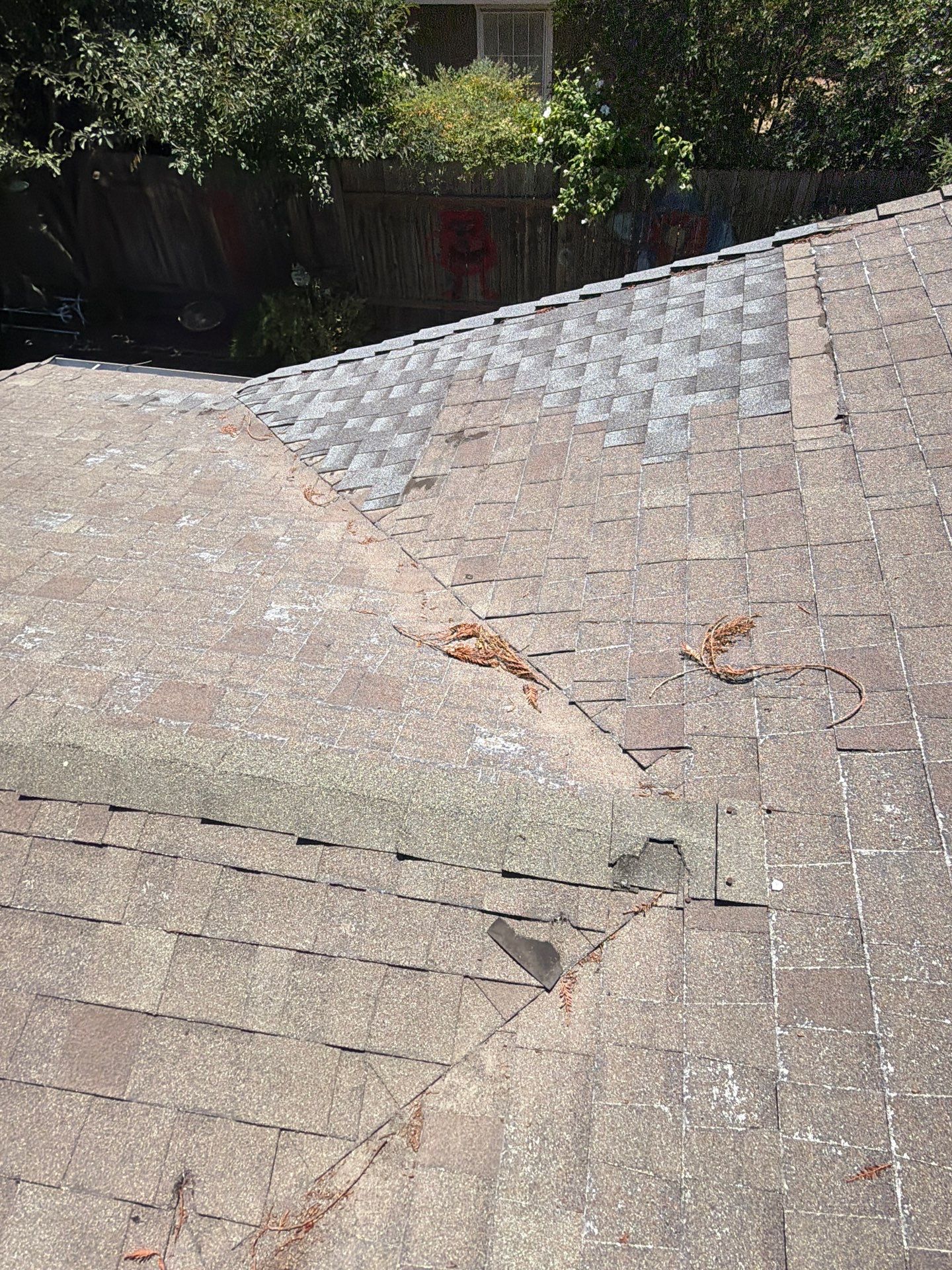 Roof Rejuvenation using Roof Maxx Treatment by Roof Maxx of Folsom