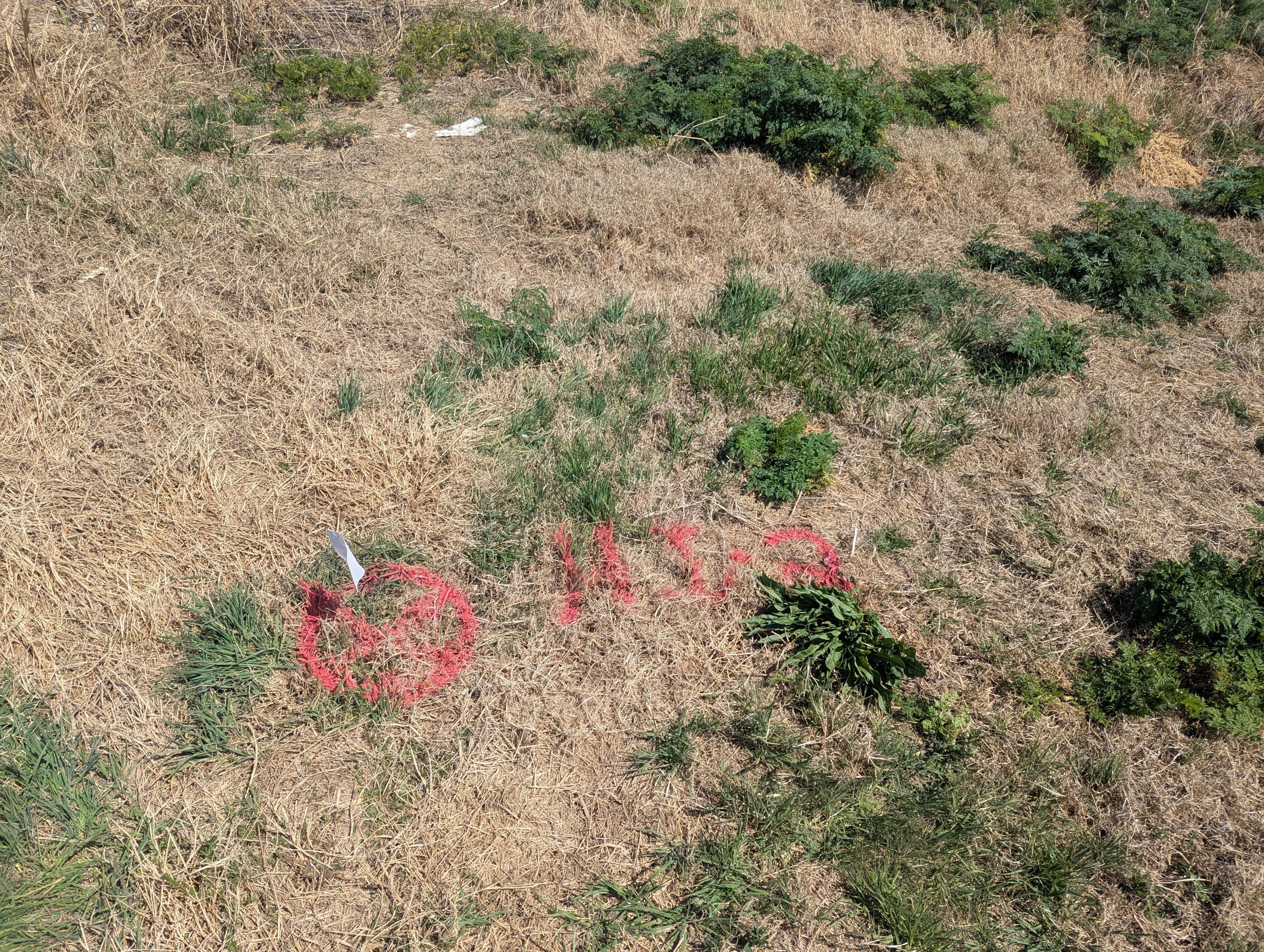 GPR Utility Locating - Environmental Soil Boring  by Alsip Locating Service, LLC