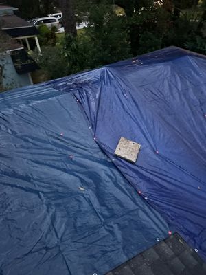 Project in Longwood