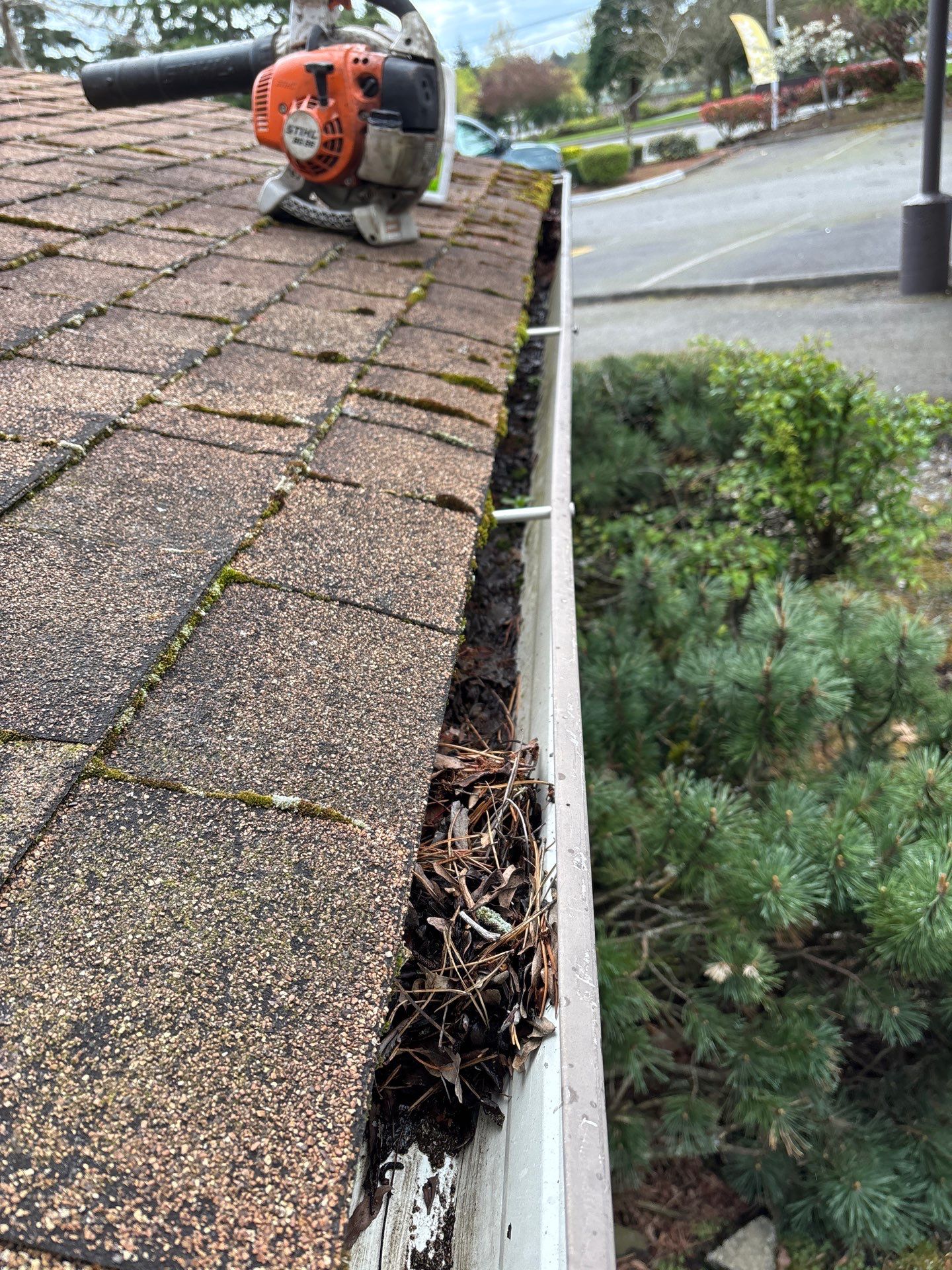 HOA gutter cleaning before