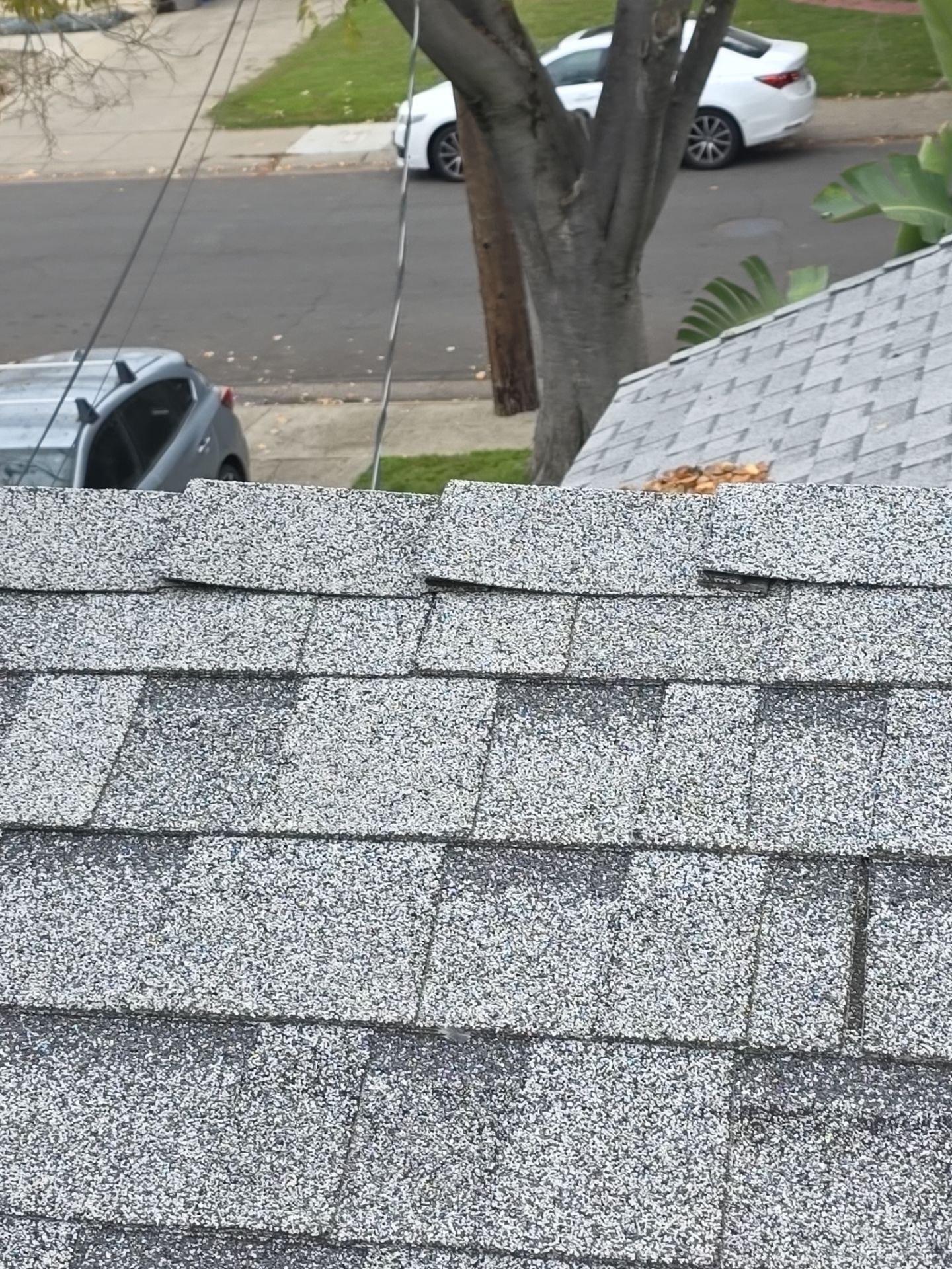 Roof Rejuvenation using Roof Maxx Treatment by Roof Maxx of Folsom