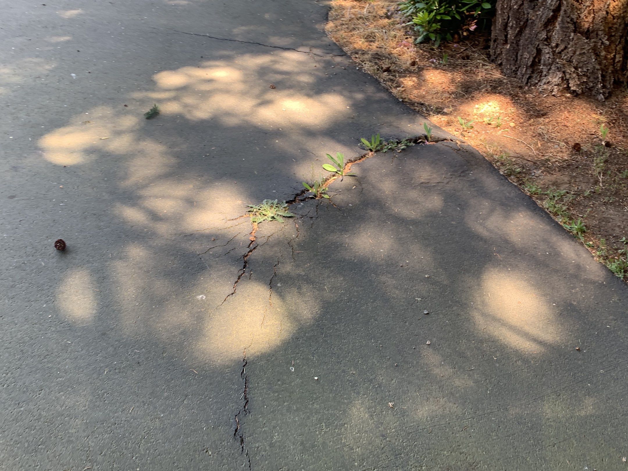 Sharon | Sealcoating & Concrete Sealer by Jireh Asphalt & Concrete Inc 