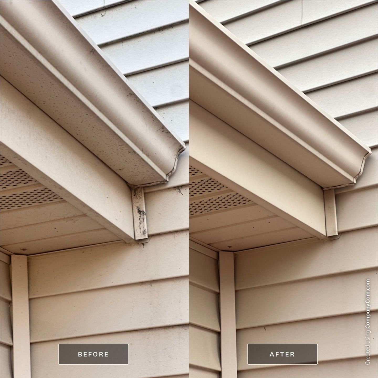 Project in Volo by Simmons Power & Soft Washing