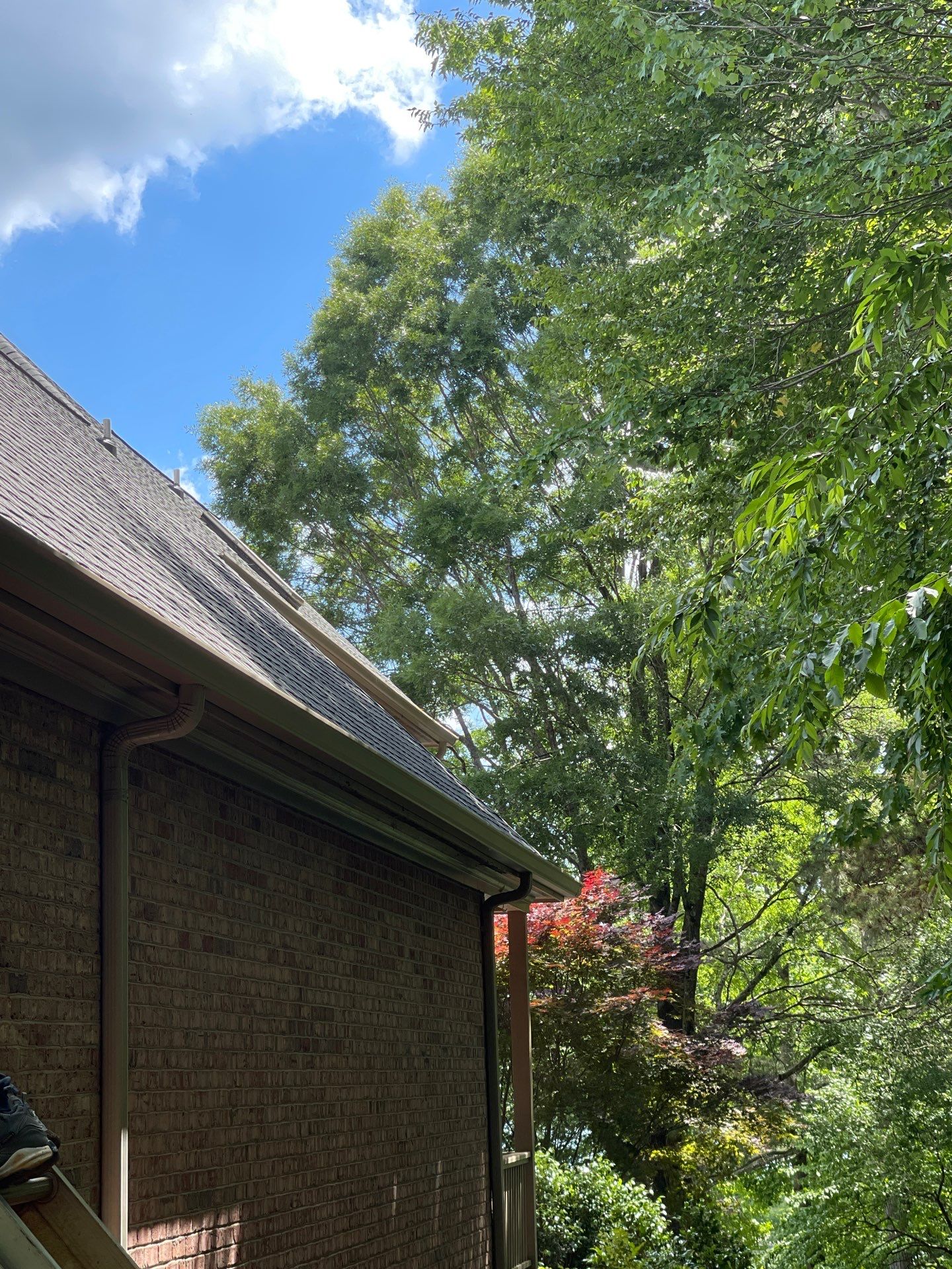 Beautiful 6" Seamless Gutter by Peak 2 Peak Services LLC