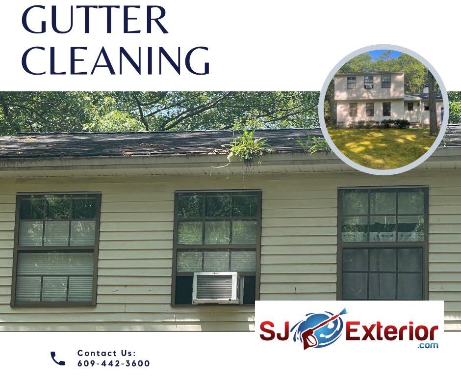 Residential Cleaning using Carbon Fiber Polls & Blower by SJ Exterior