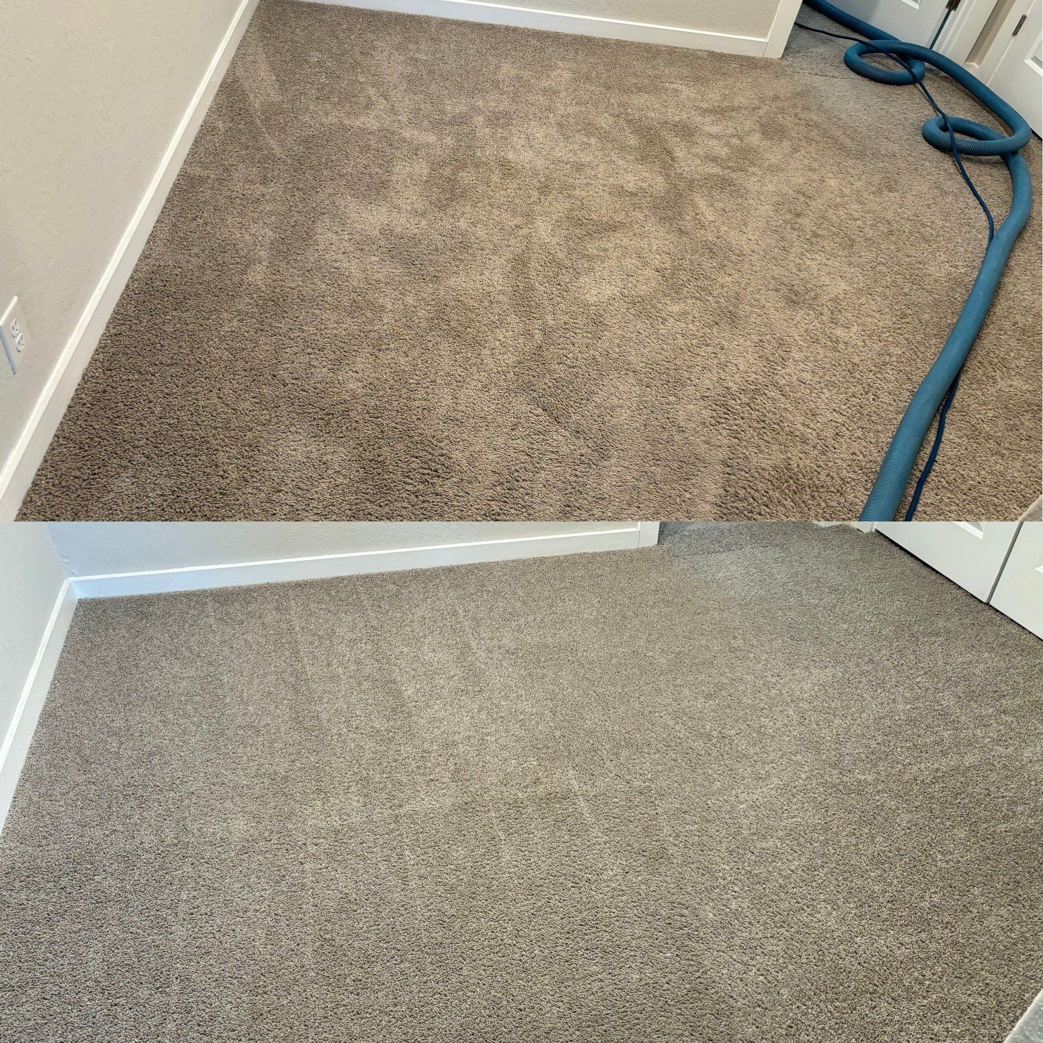 the carpet is being deep cleaned and restored to a fresh appearance with the use of professional equipment