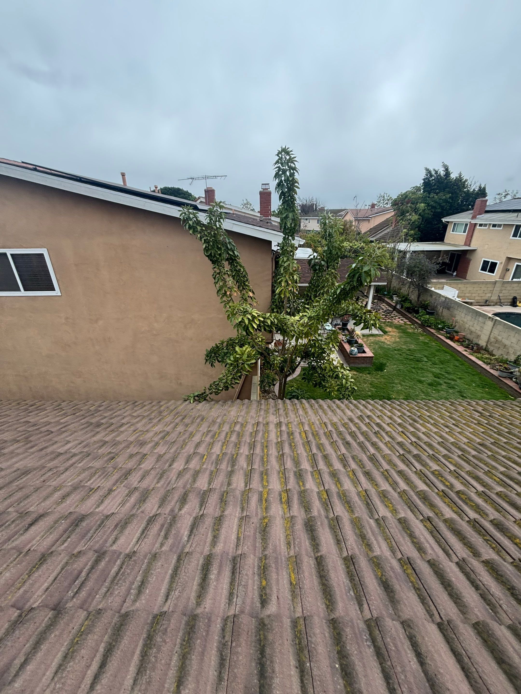 Roof Cleaning SAFECO by Pirate Pete’s Power Washing