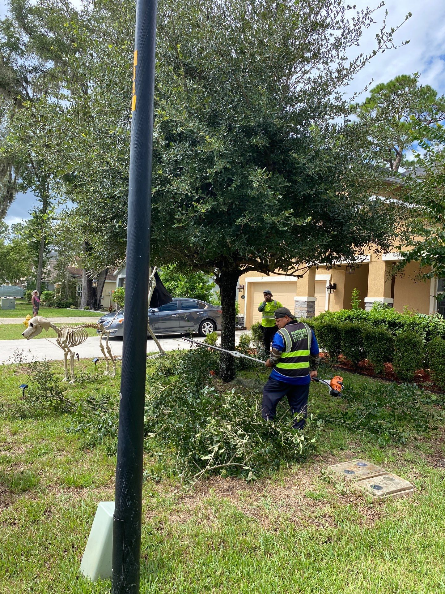 Property Clean Up | Residential by ProGreen Services