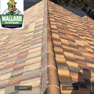 Flat Tile Roof Cleaning