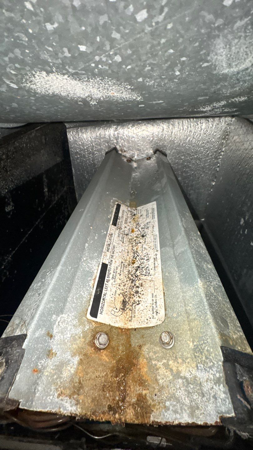Air Duct and Dryer Vent Cleaning in Clermont by Hygienic Air, Inc