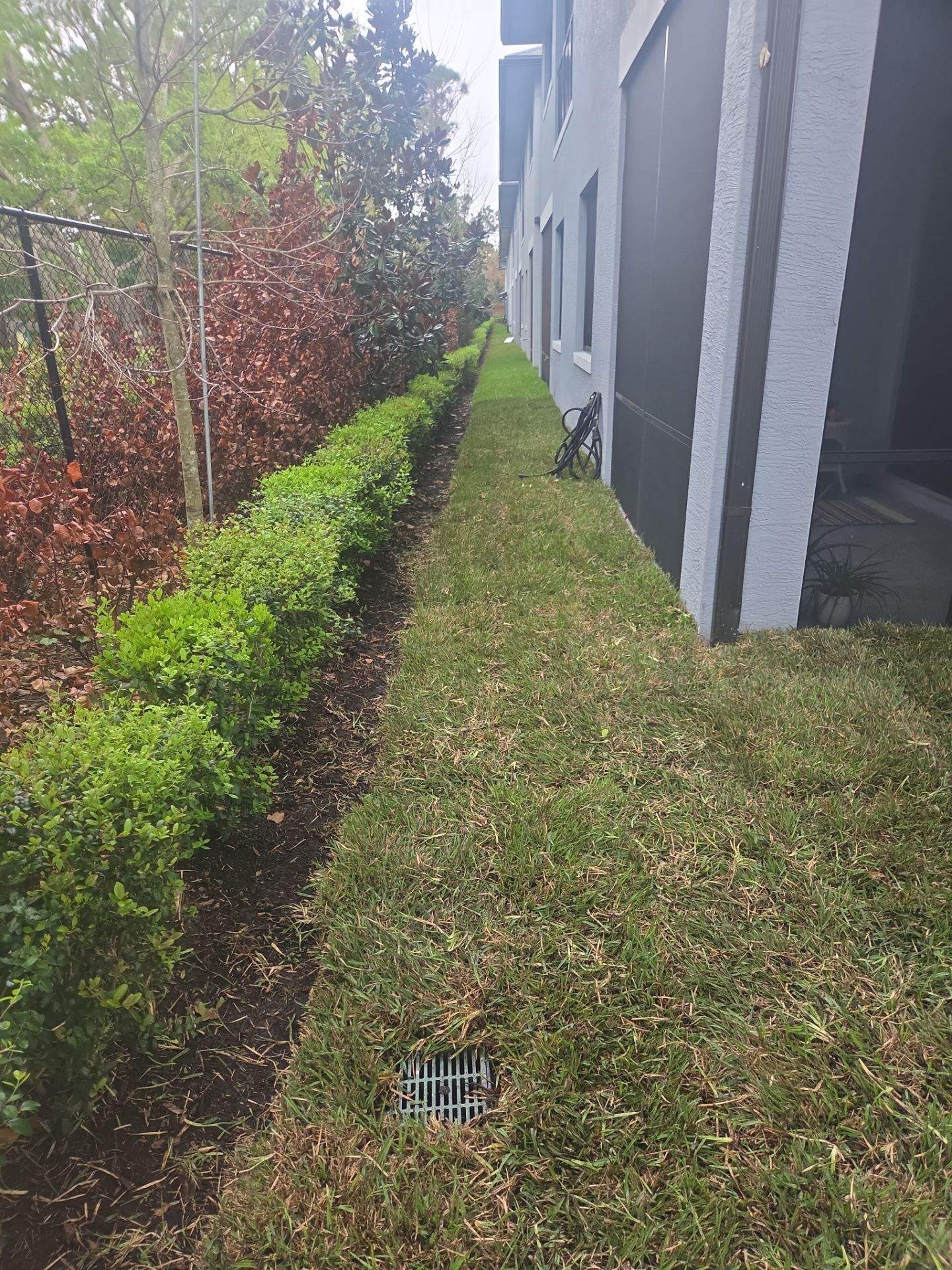 🌱 Magnolia Ridge Lawn Refresh by Alpha Zeta Enterprises Inc