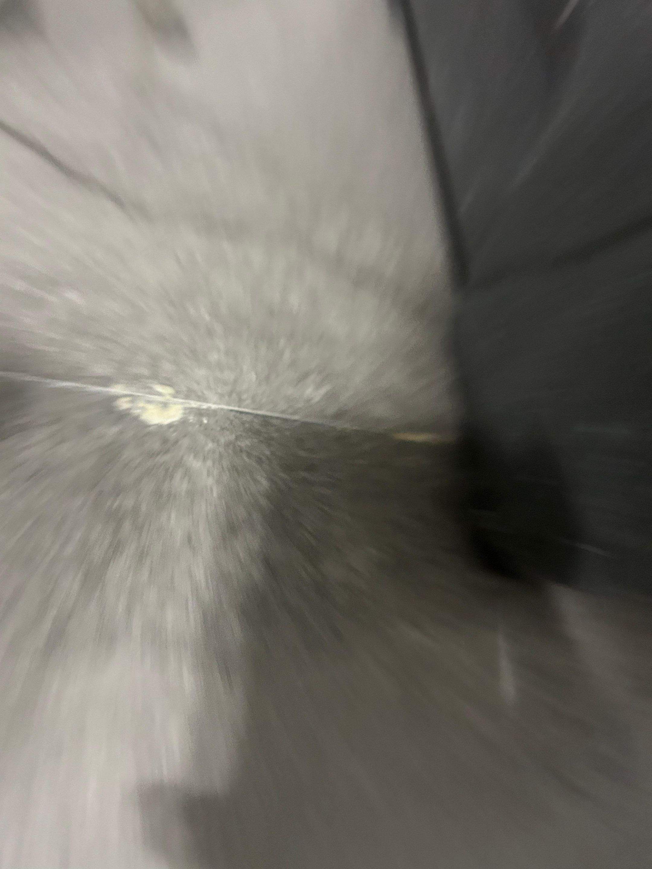 Water Damage Claim in Hollywood by FLAPA & KeyStone